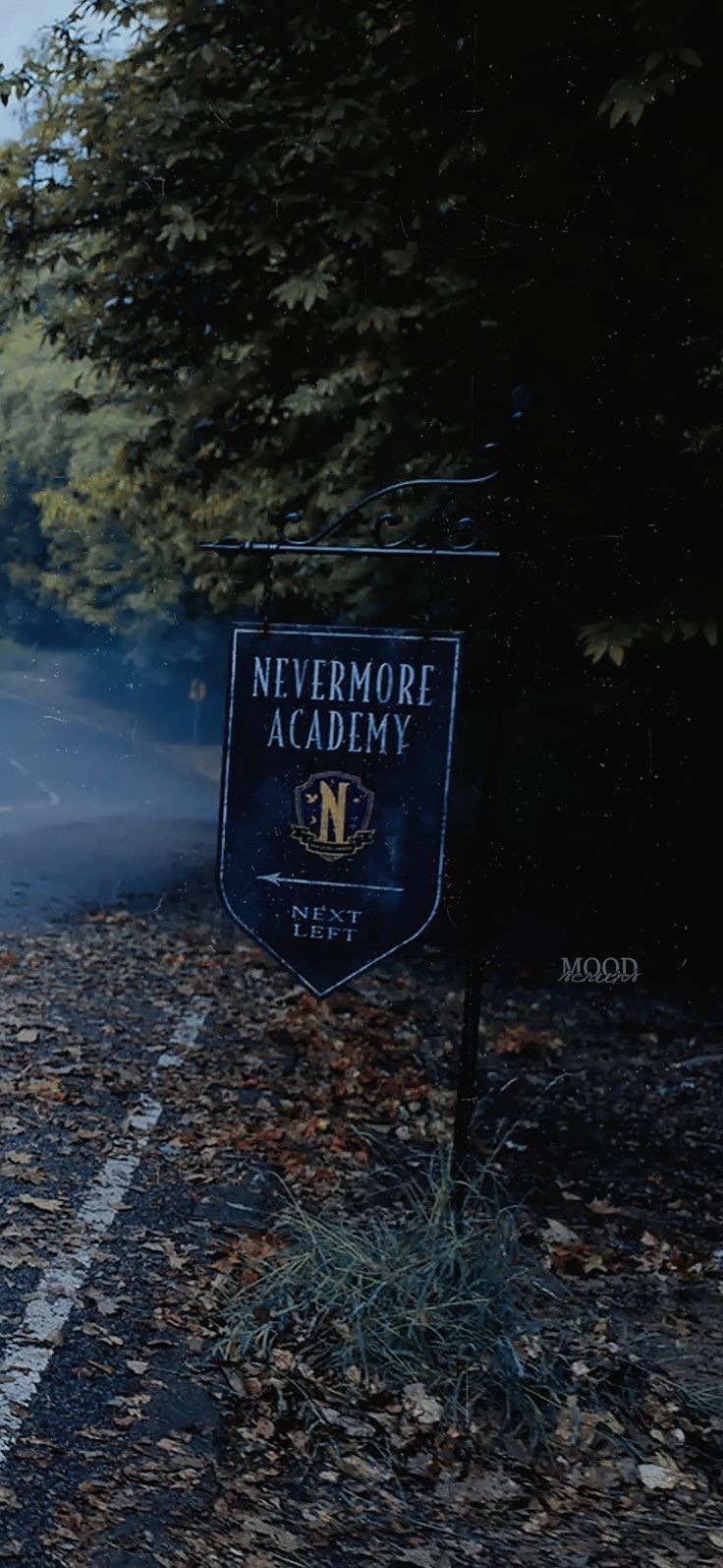 736x1594 Nevermore academy