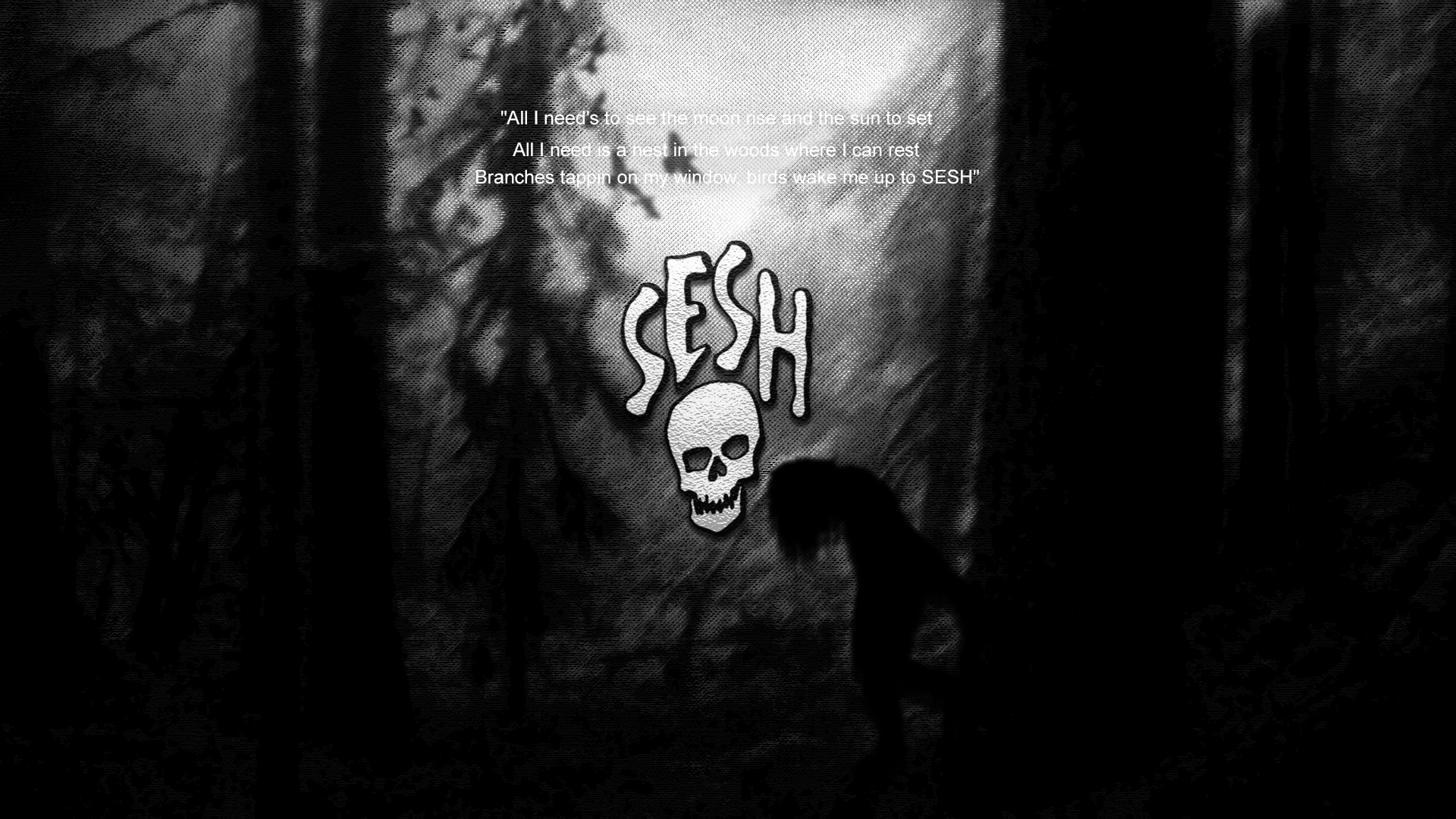 Teamsesh Wallpapers Top Free Teamsesh Backgrounds Wallpaperaccess