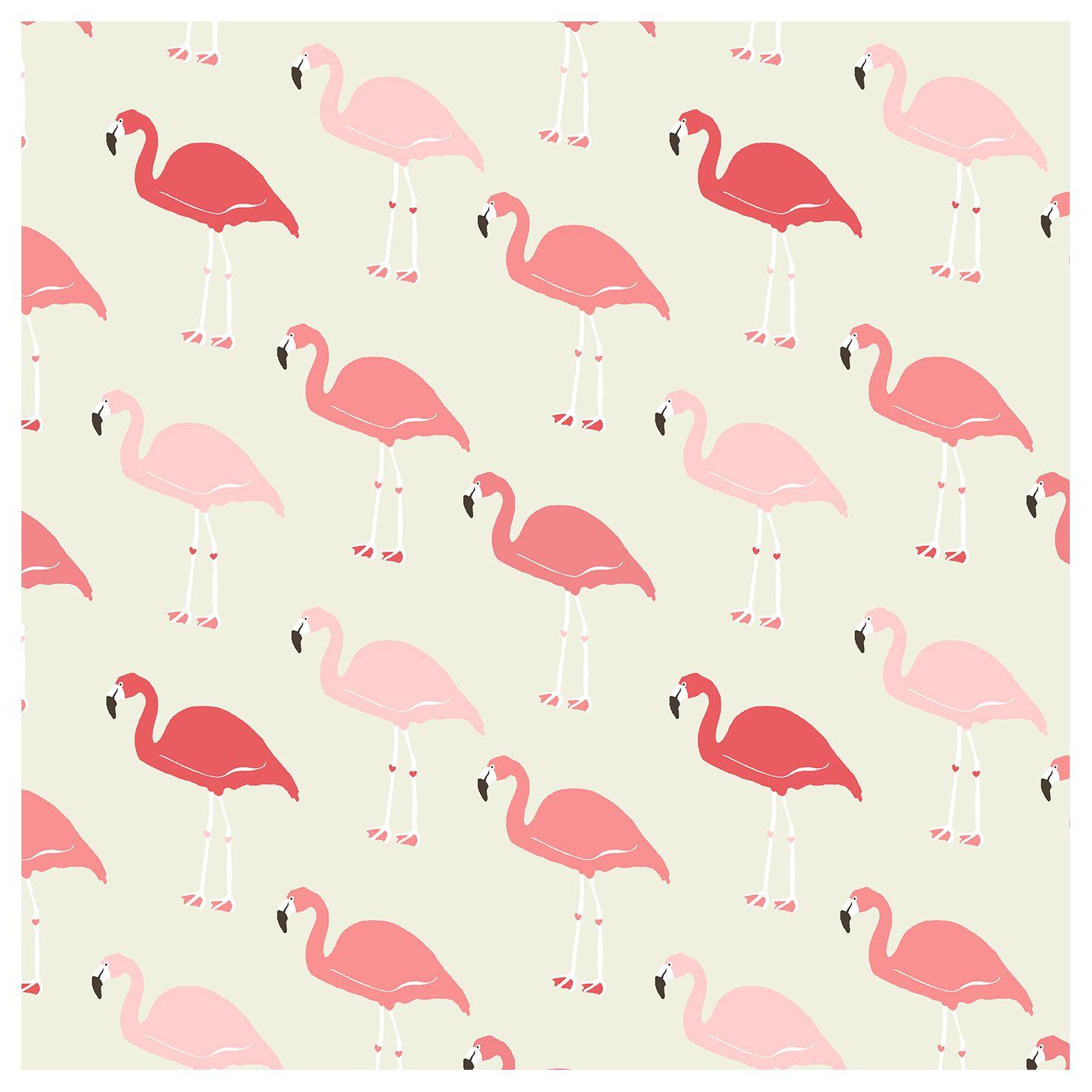 1476x1476 Fabulous Flamingo Wallpaper Glam Pad