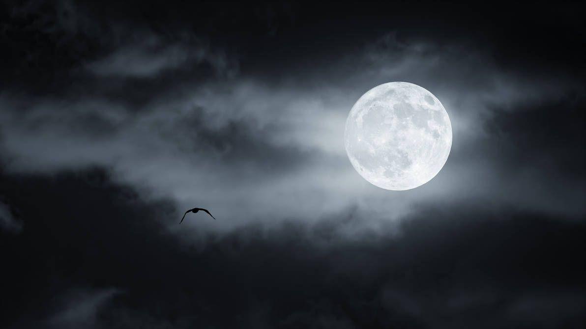1192x670 Fly Me To The Moon. Moon, Digital overlays, Pierre