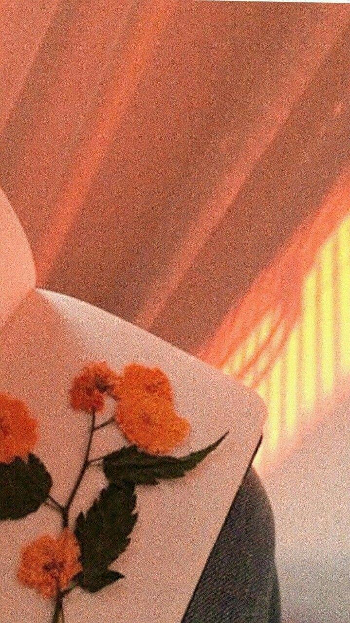 719x1280 astheticwallpaperiphoneminimal. Orange aesthetic, Peach aesthetic, Aesthetic colors