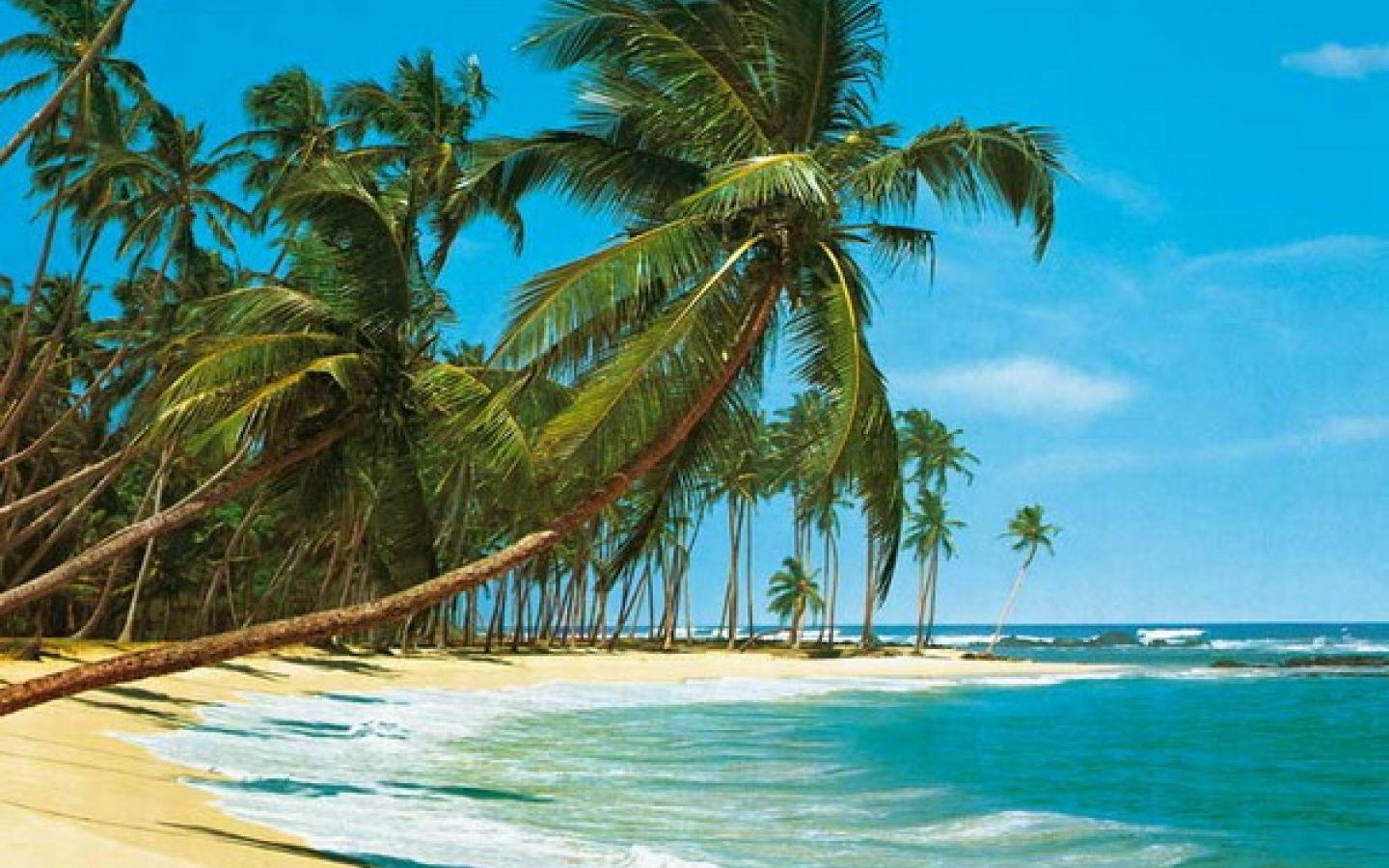 1440x900 Free download Pin Vintage Tropical Beach Wall Mural Wallpaper [1440x988] for your Desktop, Mobile & Tablet. Explore Vintage Hawaiian Wallpaper. Hawaiian Print Wallpaper, Hawaiian Wallpaper for Walls, Tropical Print Wallpaper