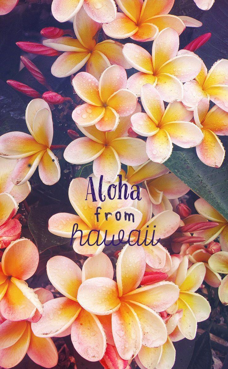740x1196 Hawaii wallpaper Credit Line Deco. Pretty wallpaper iphone, Hawaii, Pretty wallpaper