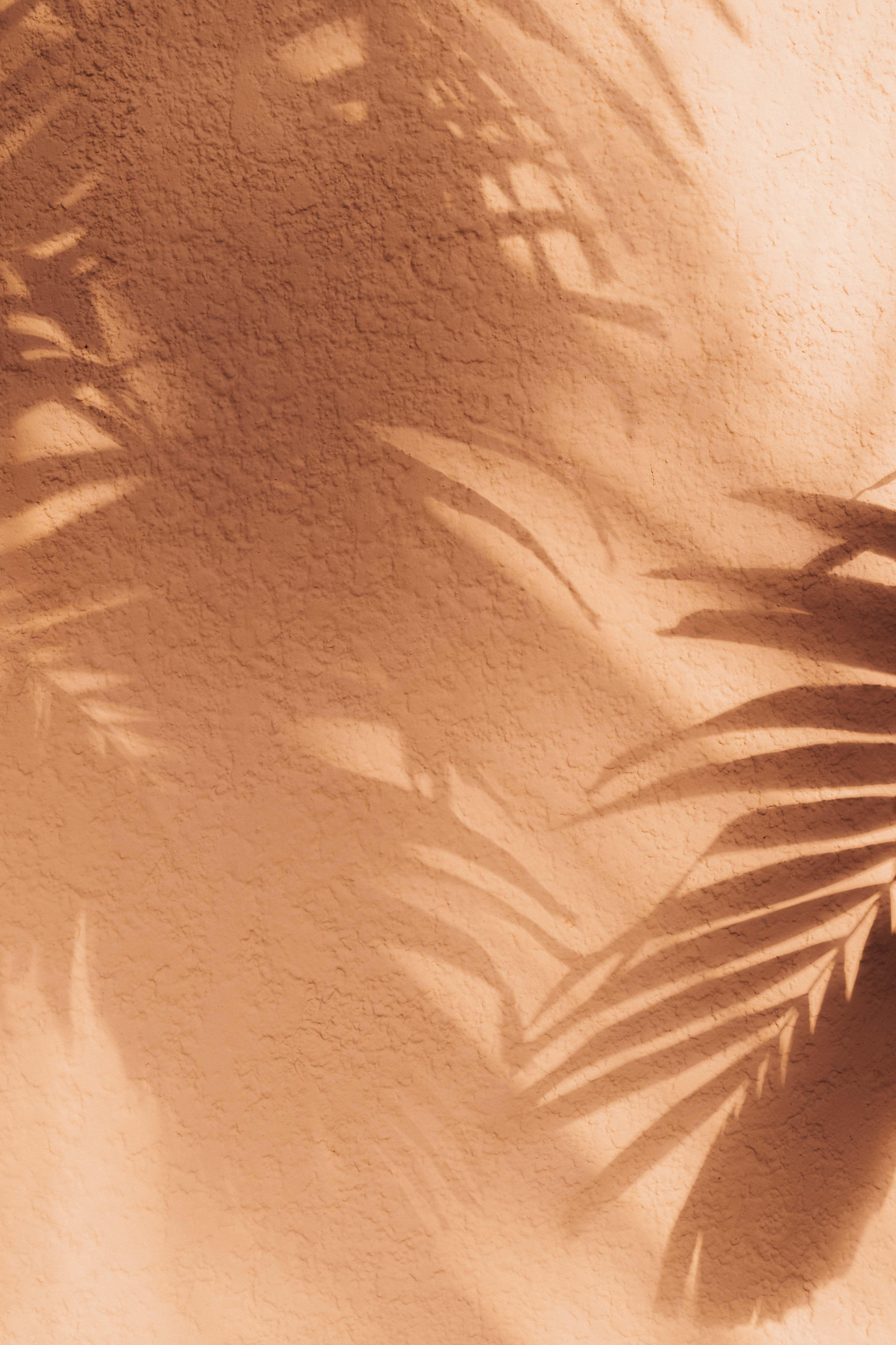3840x5760 Lily Rose. Beige aesthetic, Peach aesthetic, Brown aesthetic