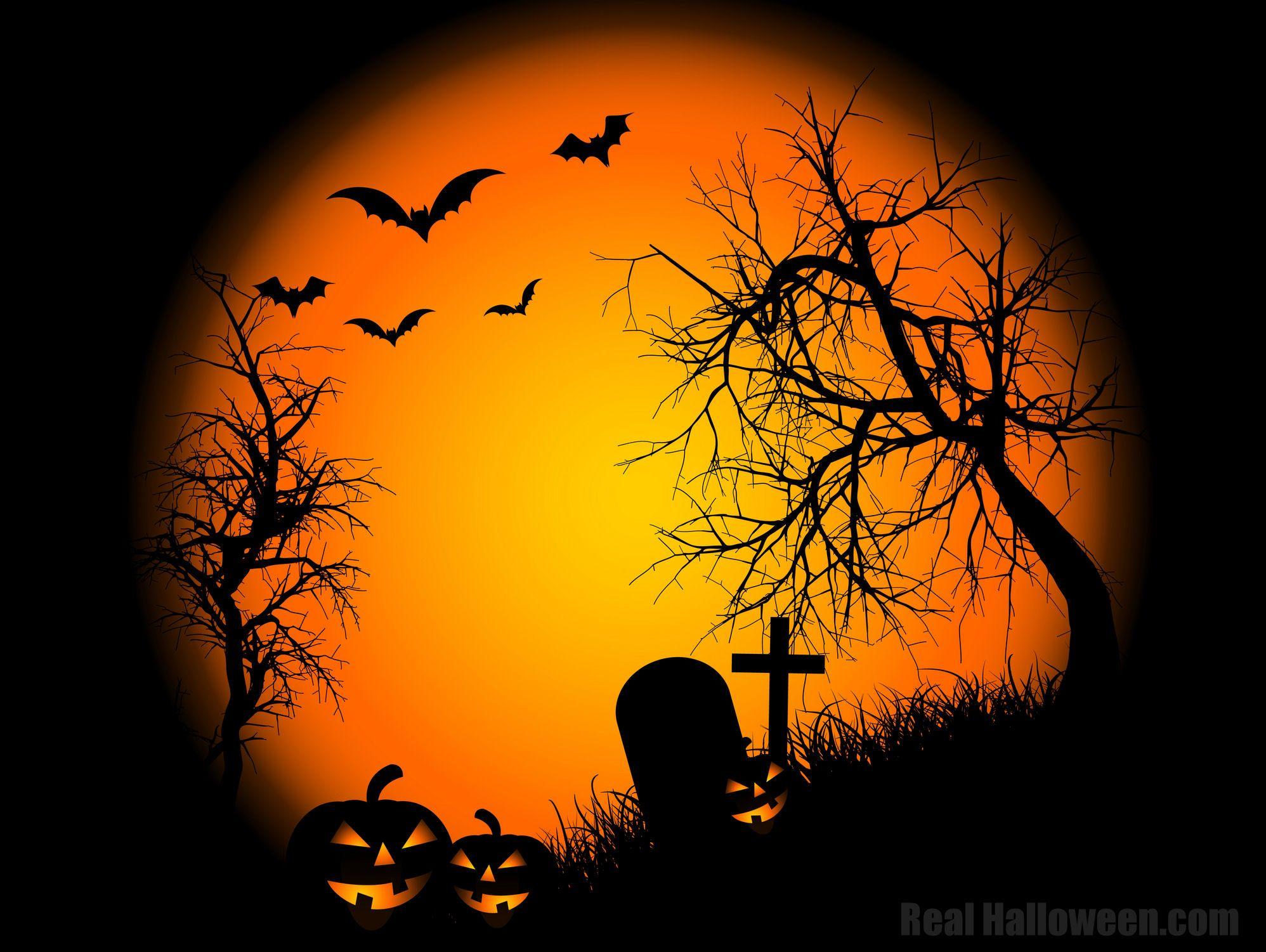 1996x1501 Halloween Wallpaper Free Cat, Vintage Party Background Png HD Wallpaper