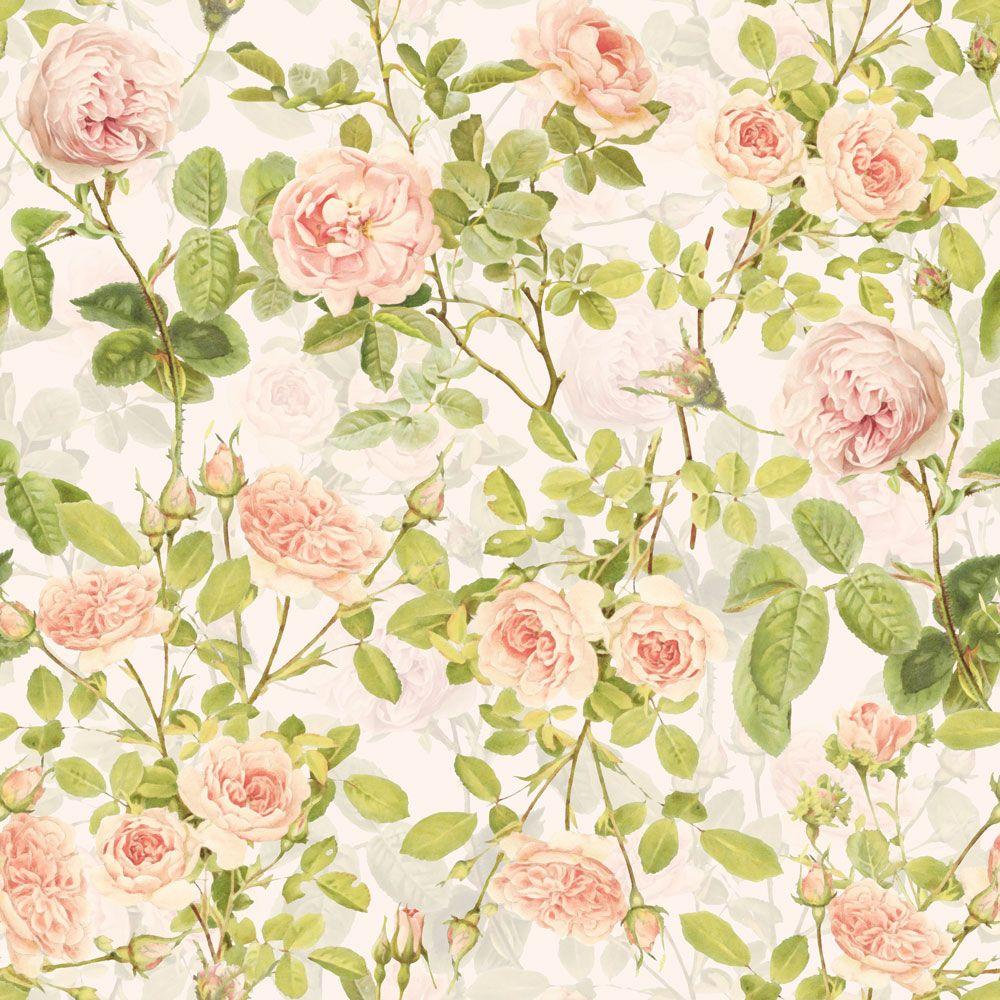 Peach Vintage Wallpapers - Top Free Peach Vintage Backgrounds