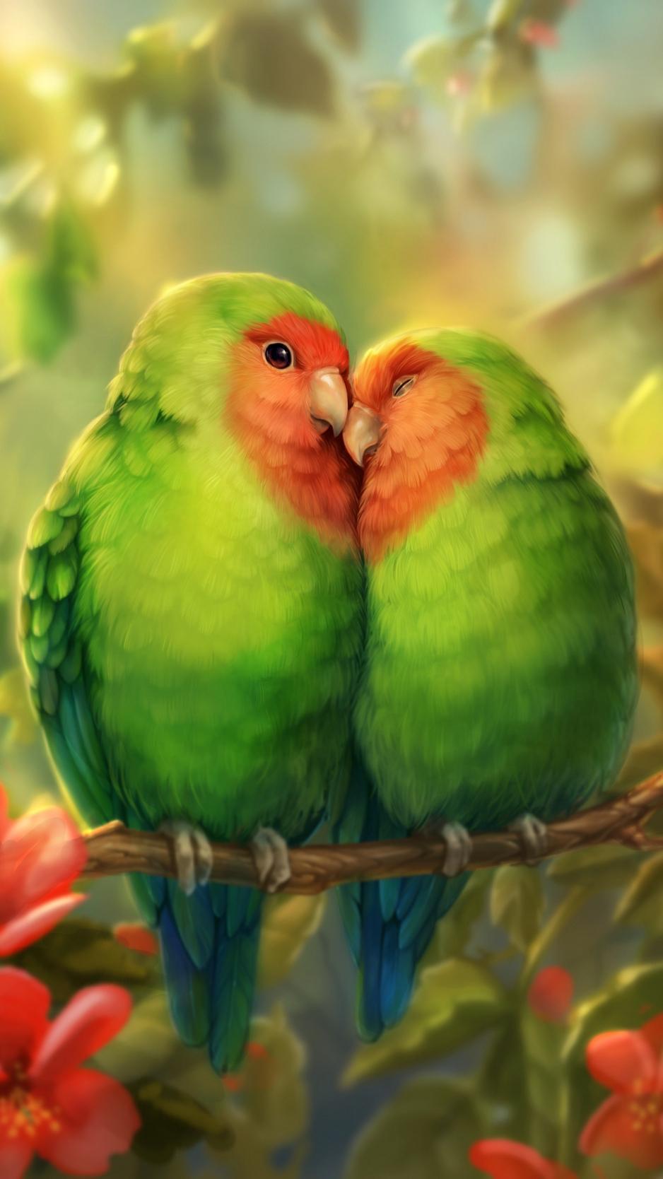 HD wallpaper parrot parrots birds animals cute couple  Wallpaper  Flare