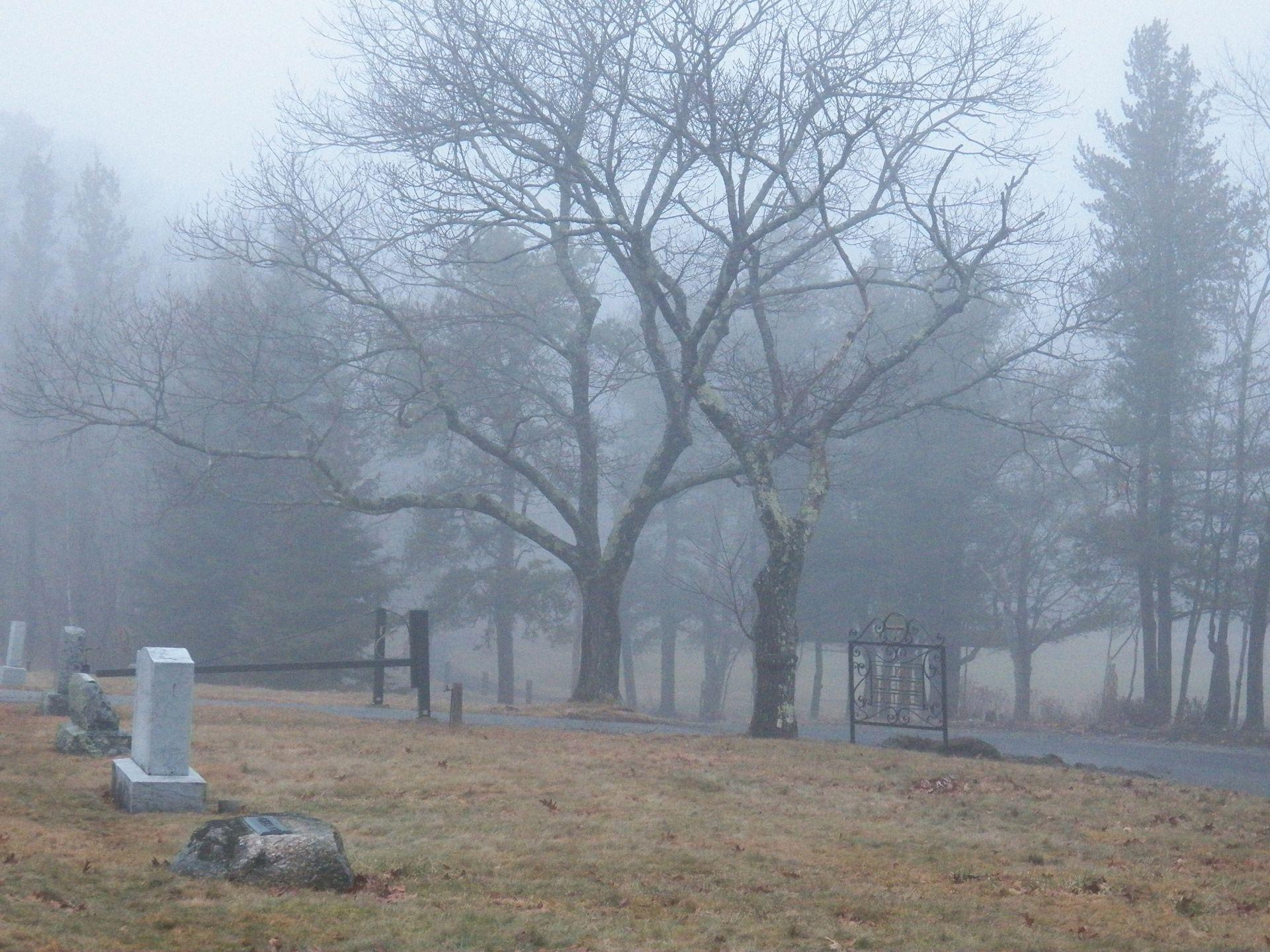 1920x1440 Haunted Graveyard 3 Free Domain Picture