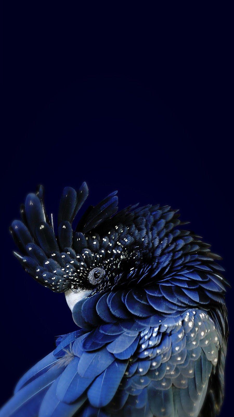 900x1600 ZTE Wallpaper (65 Wallpaper)