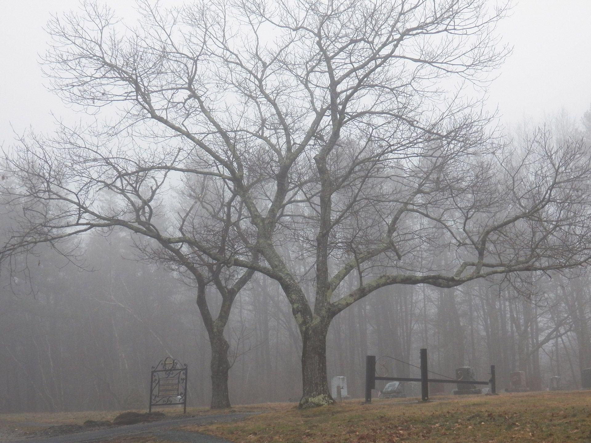 1920x1440 Haunted Graveyard 1 Free Domain Picture