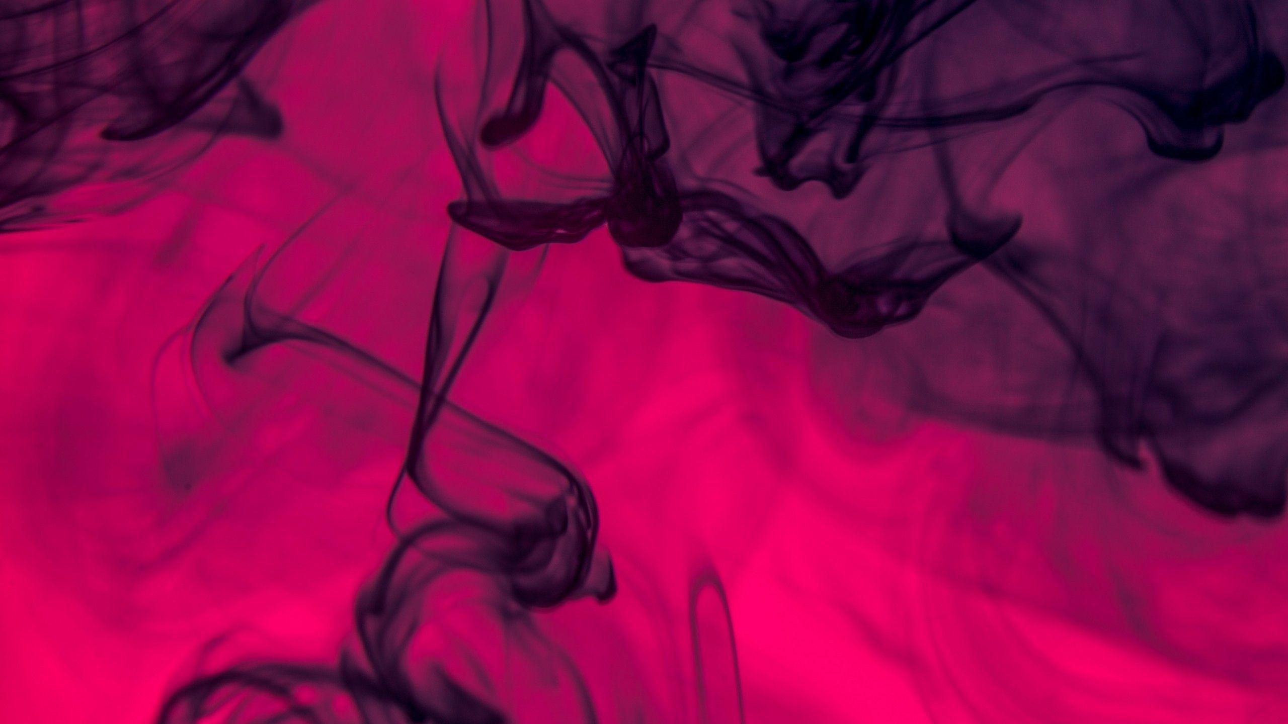 2560x1440 Download 2560x1440 Smoke, Neon, Shroud Wallpaper for iMac 27 inch
