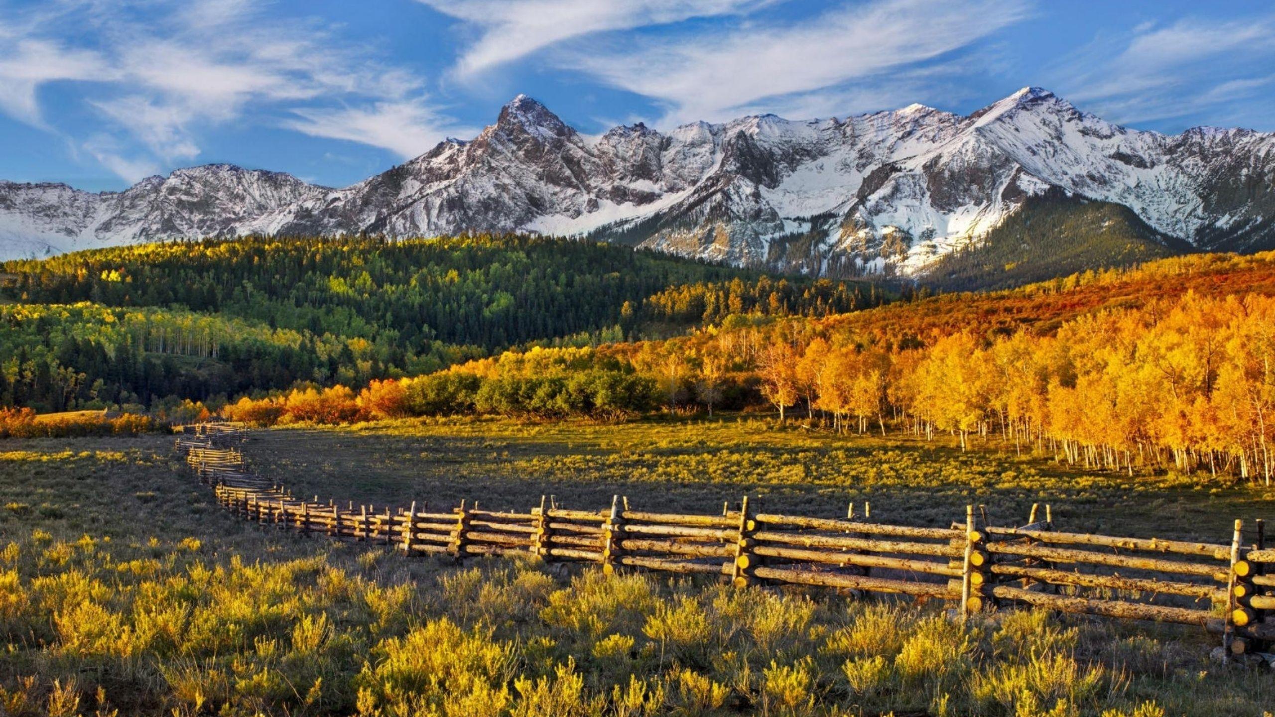 2560x1440 Fences Mountains Autumn Forest desktop PC and Mac wallpaper