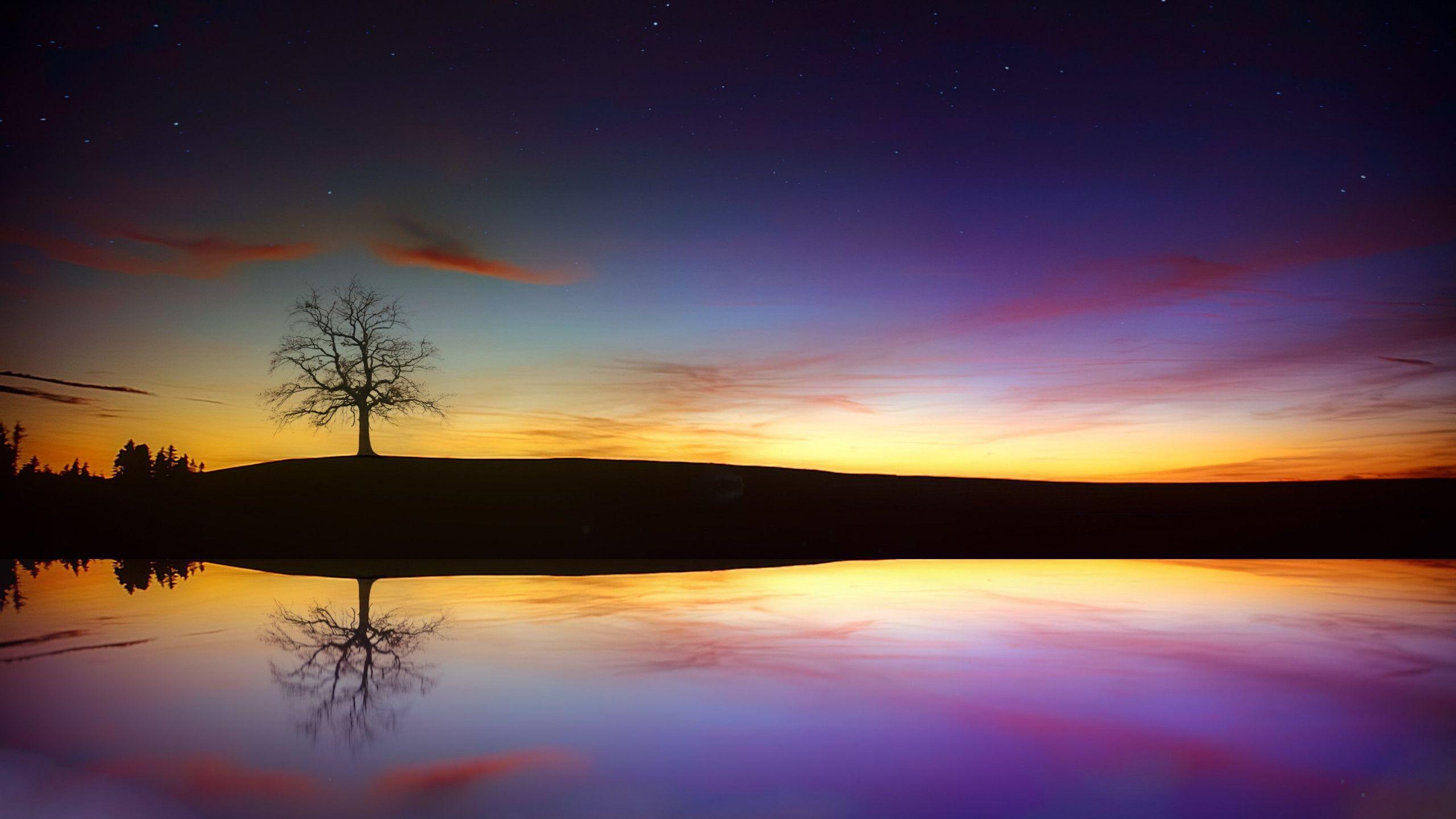 2560x1440 Download wallpaper: Best sunset from Autumn 2560x1440