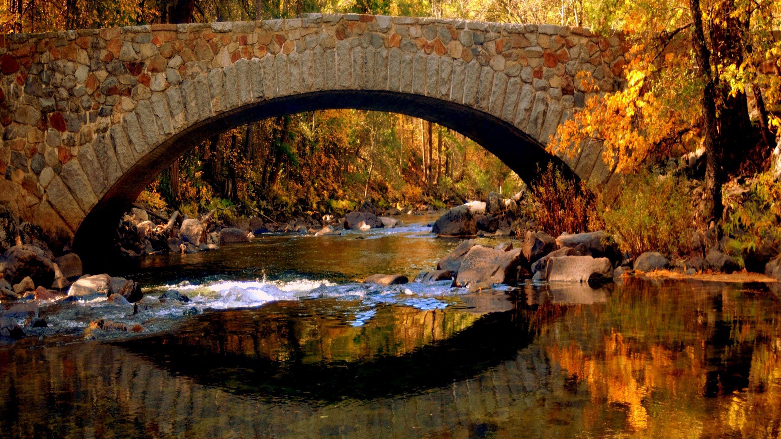 2560x1440 Bridge in autumn desktop PC and Mac wallpaper