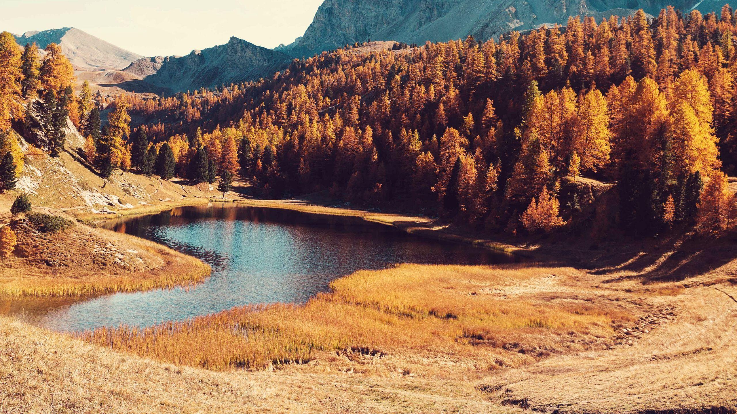 2560x1440 Autumn 2560x1440 Wallpaper