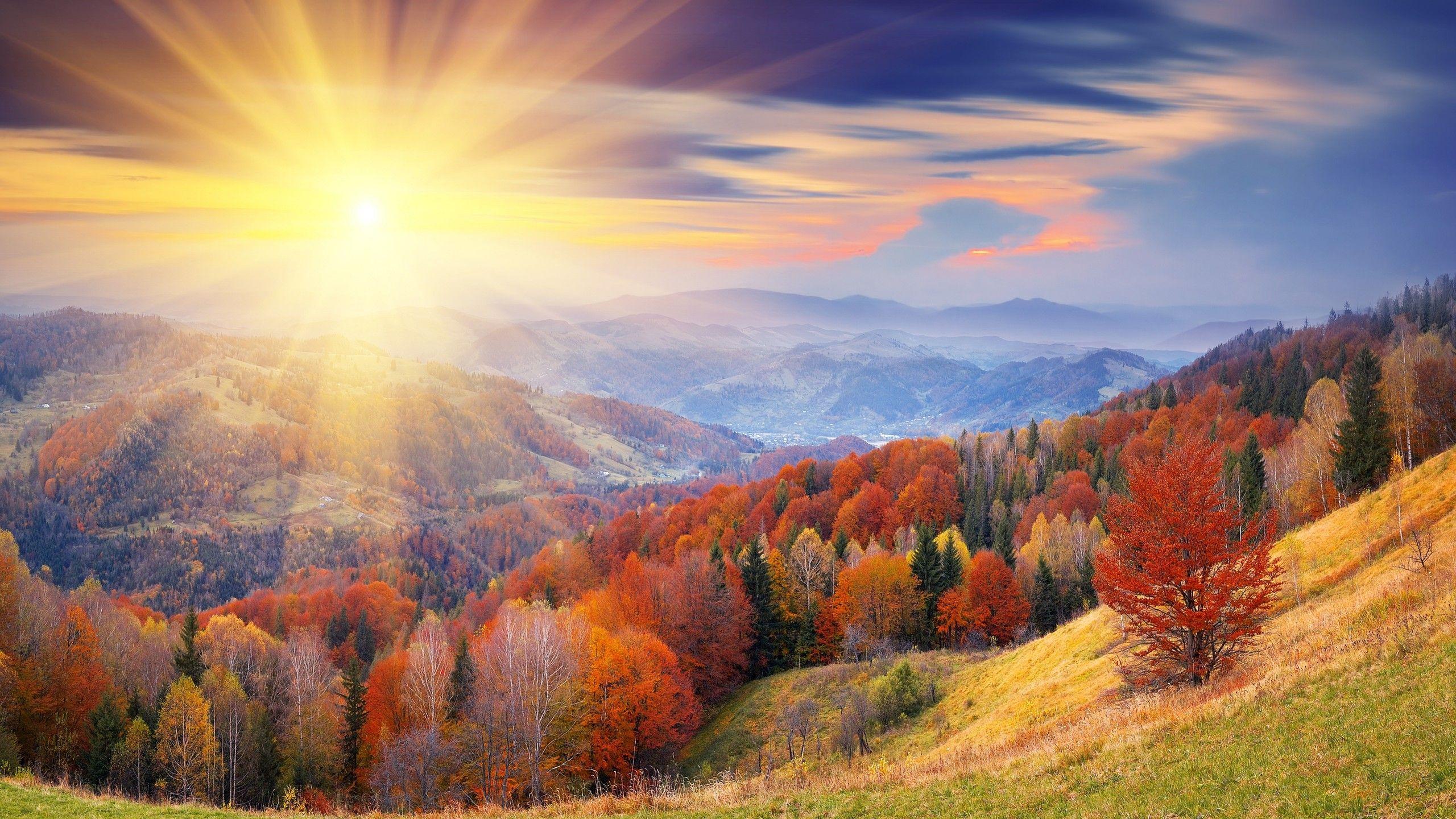 2560x1440 Wallpaper autumn, 4k, HD wallpaper, 8k, trees, dawn, mount, coloring, Nature