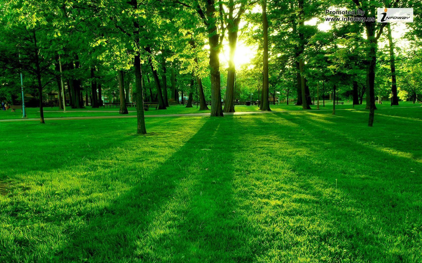 Green Scenery Wallpapers - Top Free Green Scenery Backgrounds -  WallpaperAccess