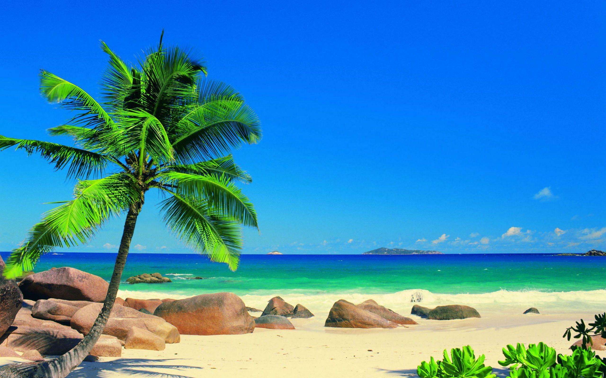 2560x1600 Scenery 6387 6663 Hd Wallpaper. Cox Creative Studios