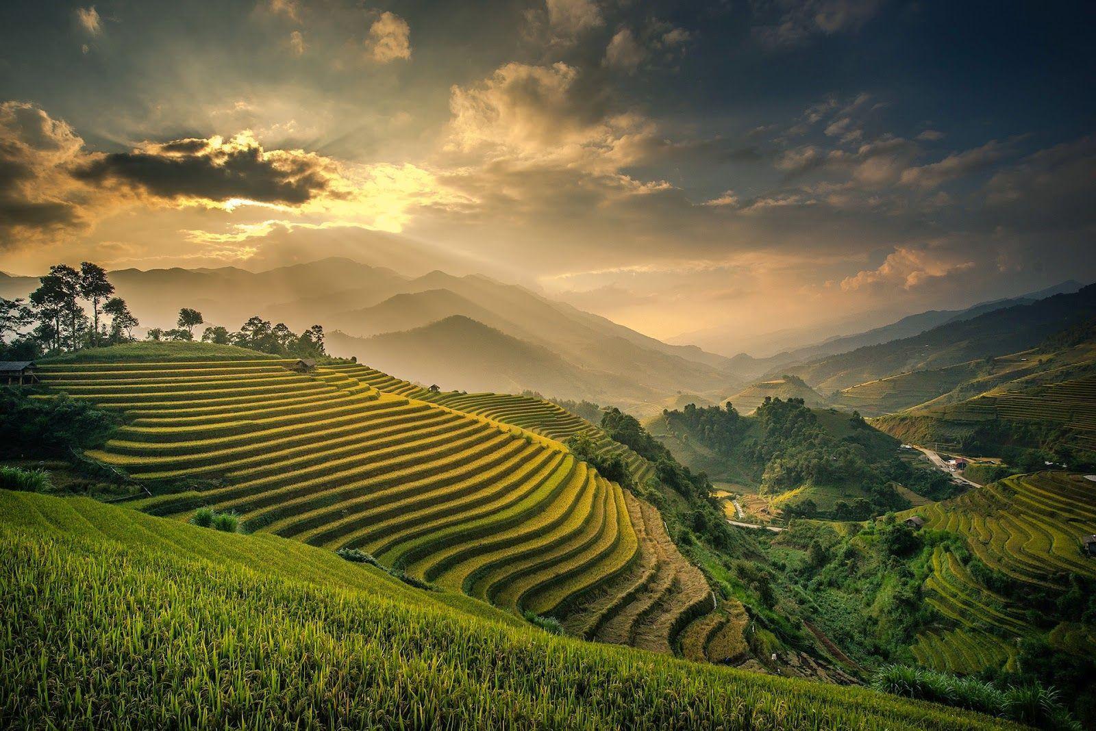 Rice Terraces HD Wallpapers - Top Free Rice Terraces HD Backgrounds