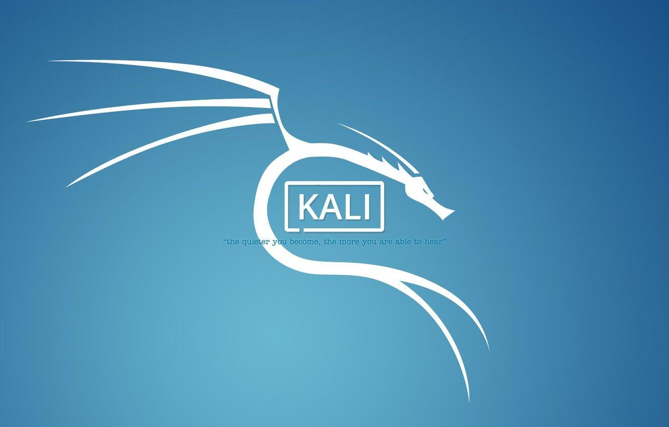 1332x850 Wallpaper linux, dragon, Mr Robot, Kali, kali linux image for desktop, section минимализм