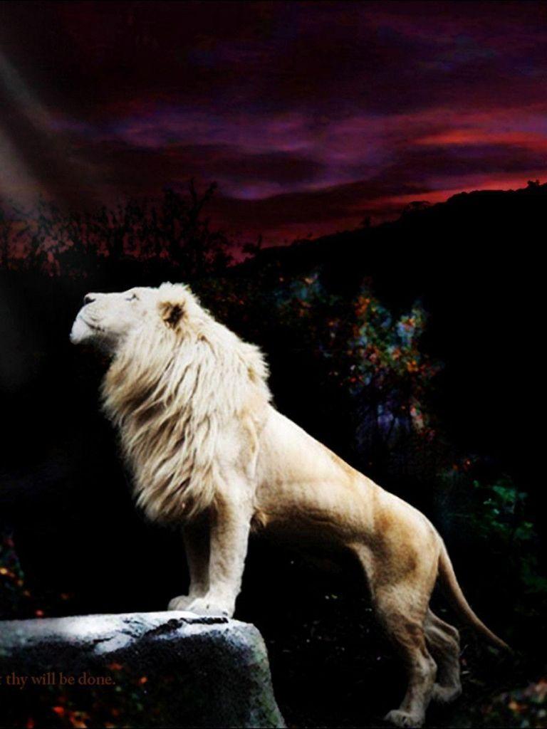 Jesus Lion Wallpapers - Top Free Jesus Lion Backgrounds - WallpaperAccess