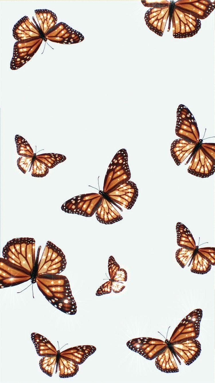 25 Brown Aesthetic Wallpaper for Laptop  Sparkle Blue Butterfly 1  Fab  Mood  Wedding Colours Wedding Themes Wedding colour palettes