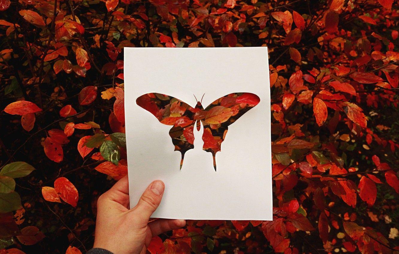 1332x850 Wallpaper autumn, leaves, red, butterfly, silhouette image for desktop, section природа