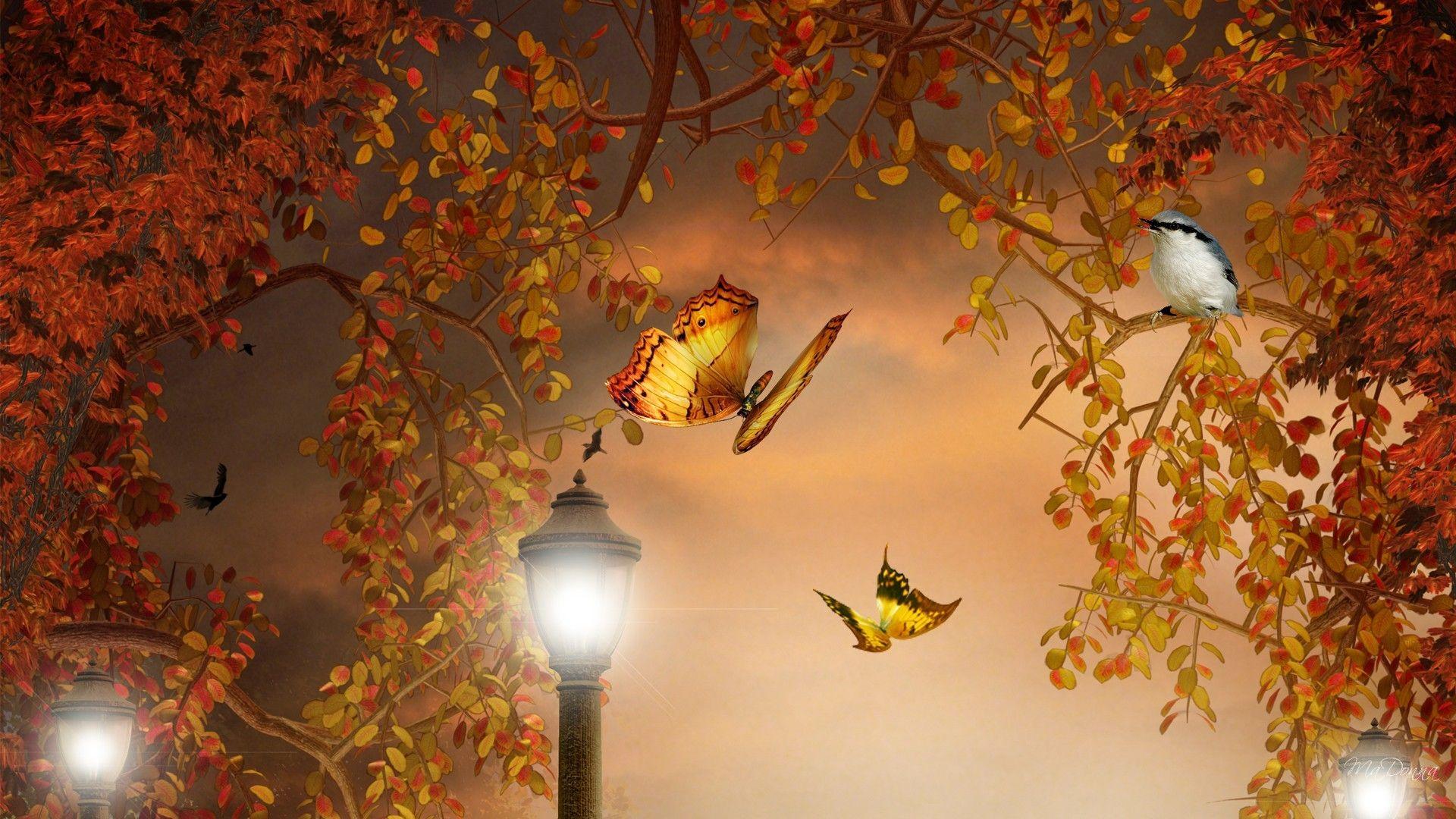 Autumn Butterflies Wallpapers - Top Free Autumn Butterflies Backgrounds