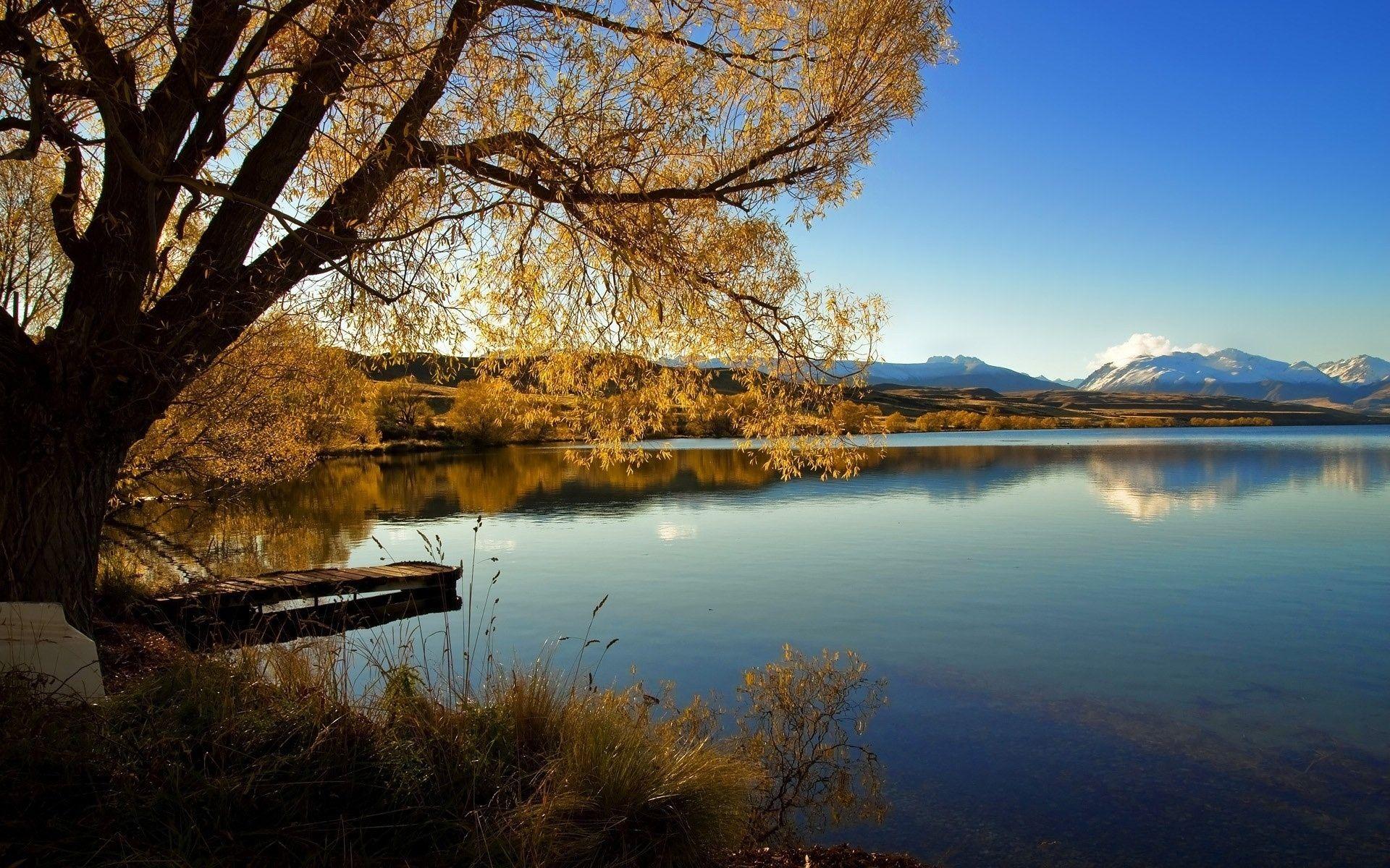 1920x1200 New Zealand Nature HD Desktop Wallpaper, Instagram photo, Background