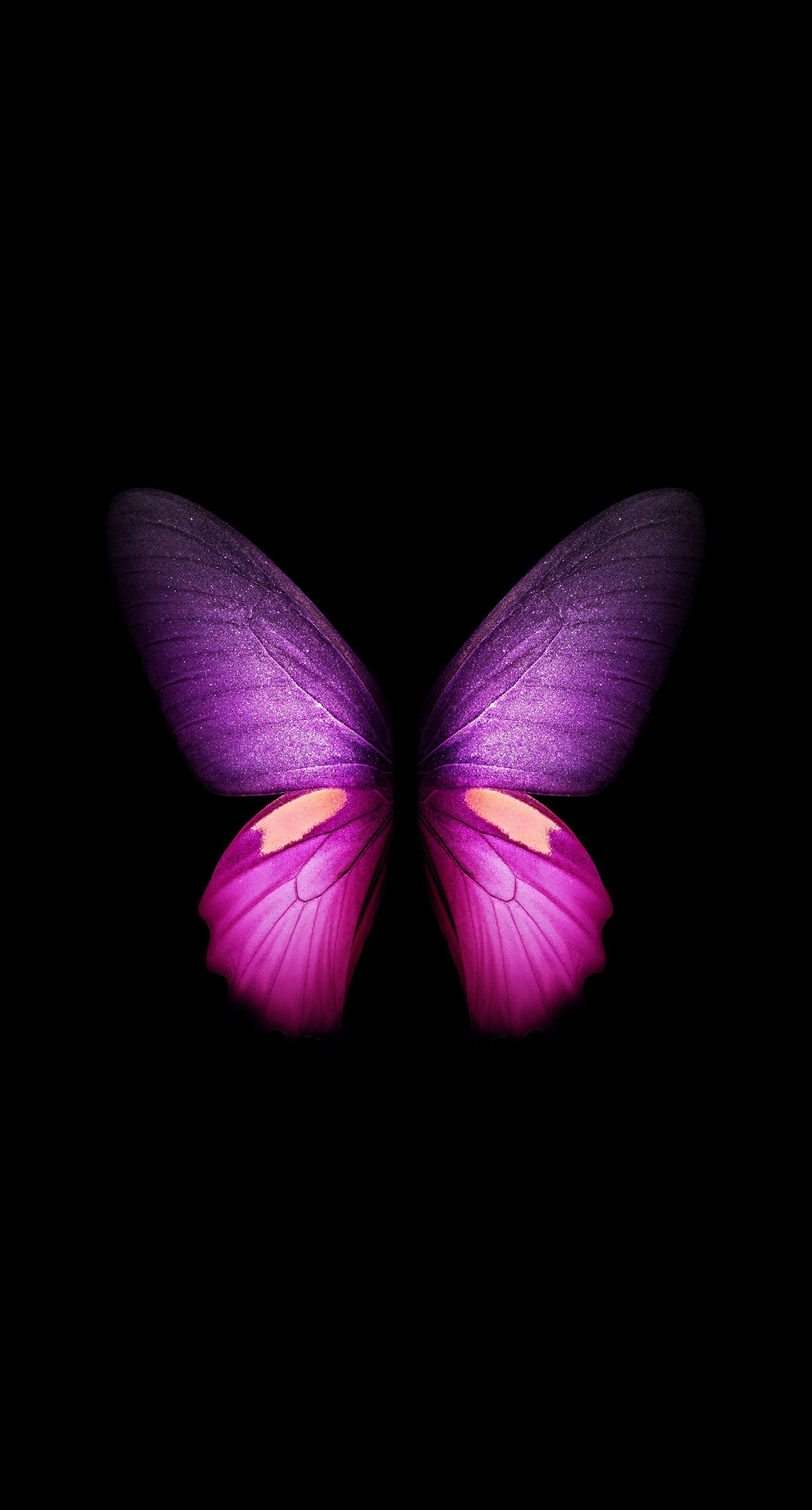 2152x4000 Live Butterfly Wallpaper Free HD Wallpaper