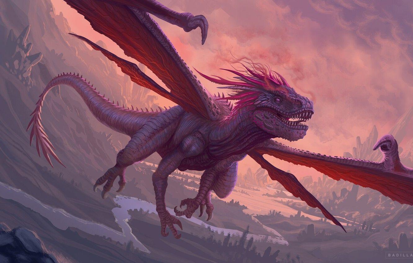 Purple Dragons Wallpapers - Top Free Purple Dragons Backgrounds 