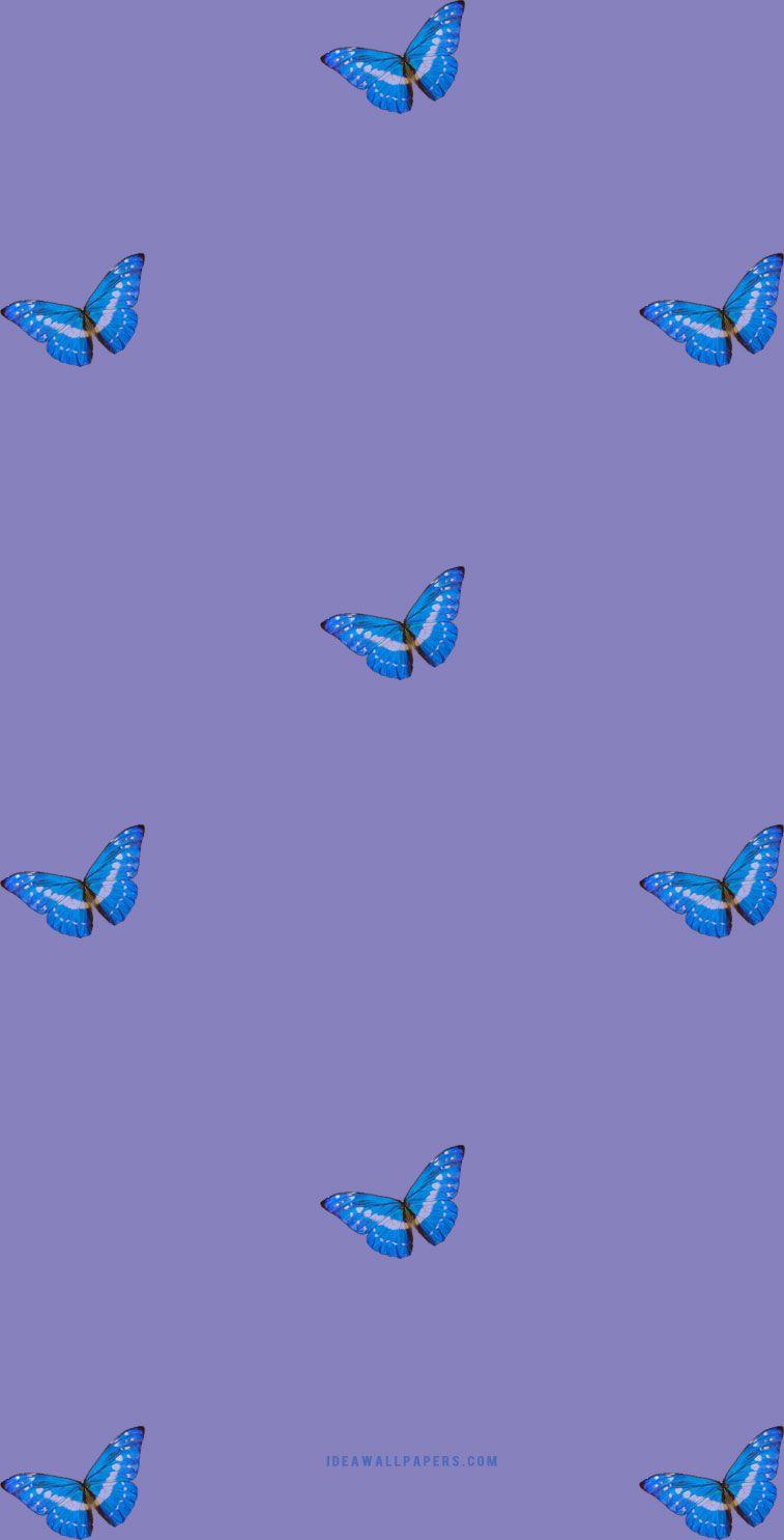 757x1485 Butterfly iphone wallpaper Wallpaper
