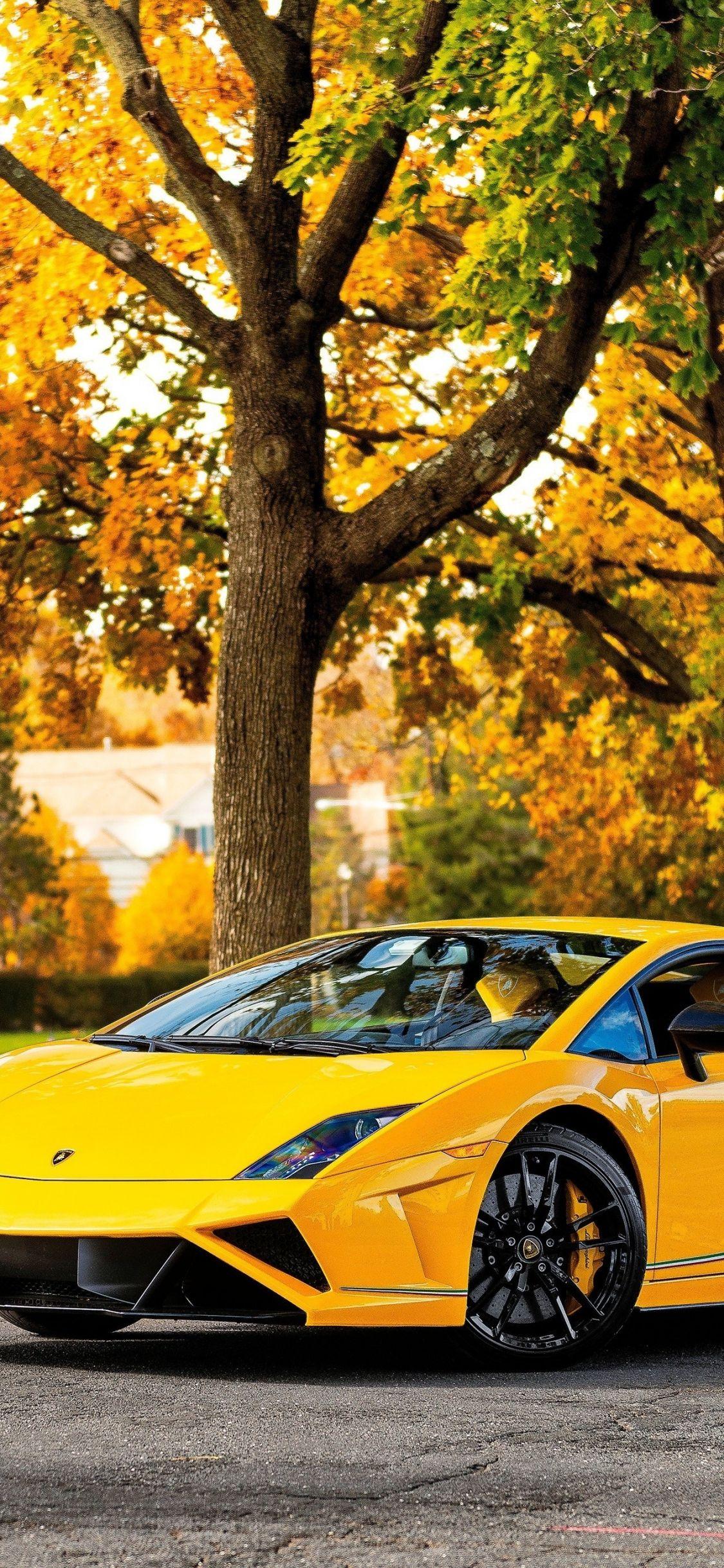 1125x2436 Download 1125x2436 wallpaper lamborghini gallardo, yellow sports car, iphone x 1125x2436 HD image, background, 4121