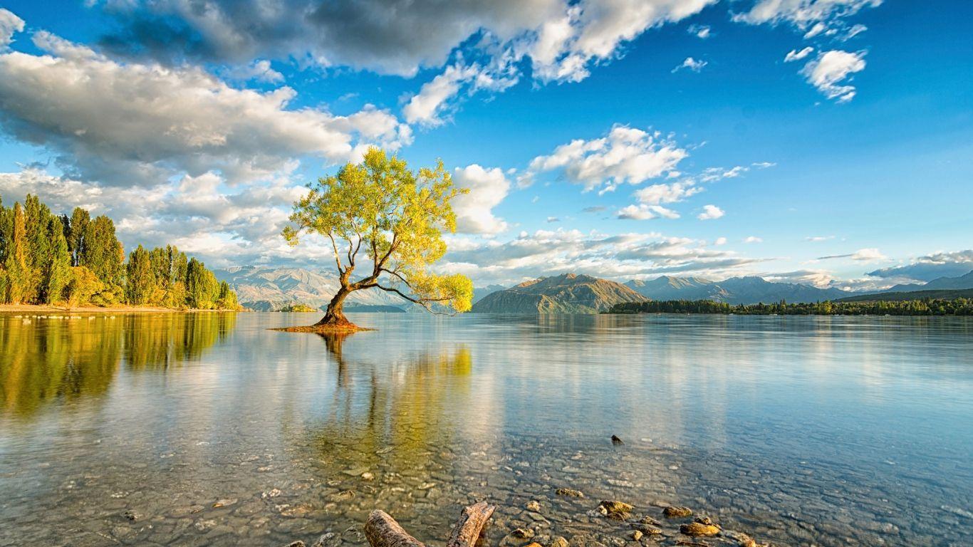 1366x768 Group New Zealand Desktop Wallpaper Index