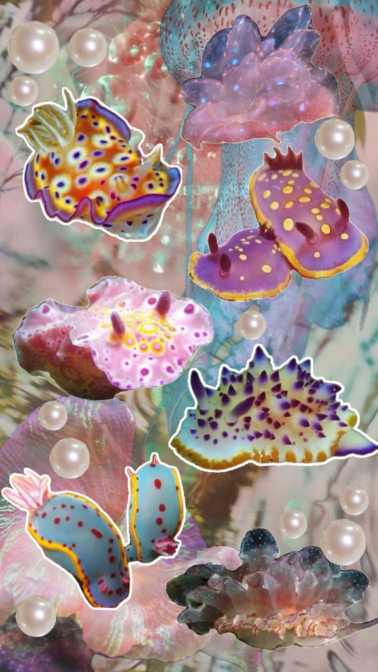 736x1308 underwater #ocean #seaslug #cute #pearly #pearls #wallpaper #collage