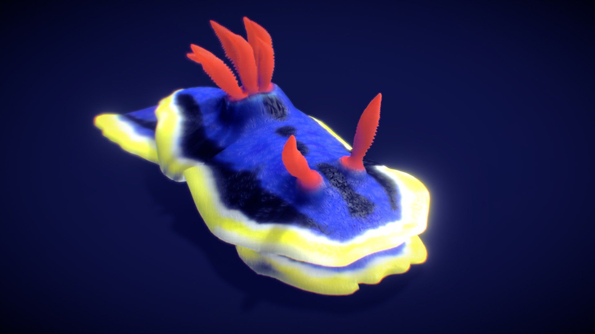1920x1080 Nudibranches (sea slugs). Department of Biodiversity, Conservation and Attractions