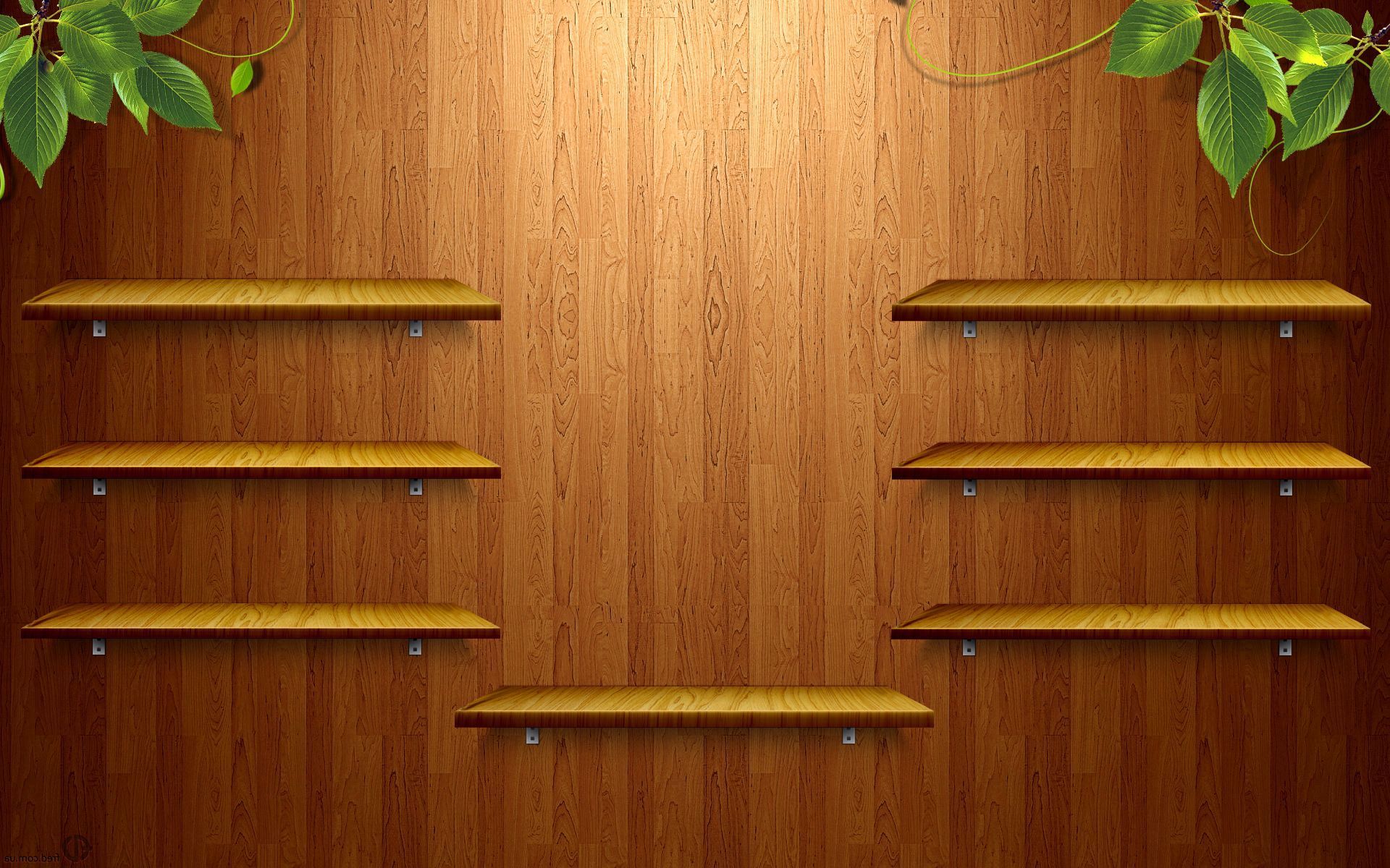 1920x1200 Empty Bookshelf Wallpaper