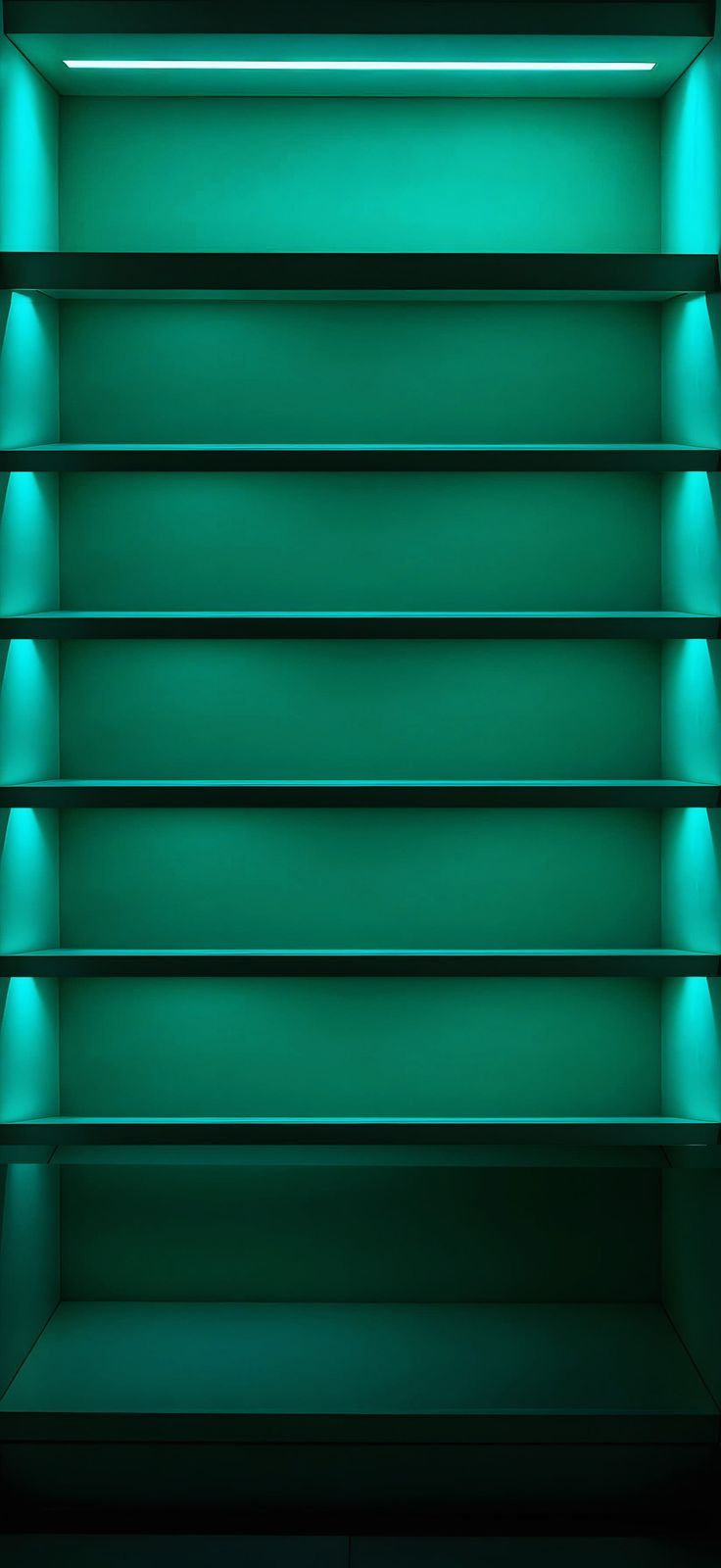 736x1600 Bookshelf iPhone wallpaper in 4k