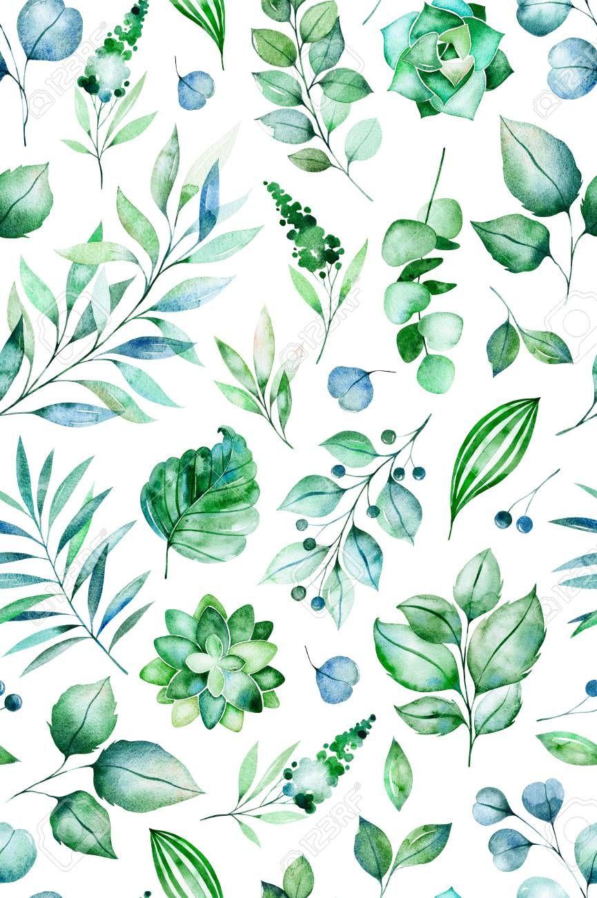 865x1300 Succulent Wallpaper