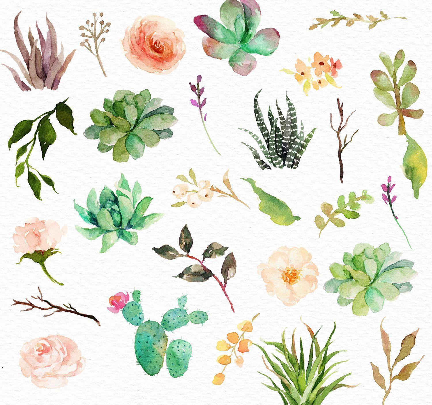 Watercolor Succulent Wallpapers - Top Free Watercolor Succulent Backgrounds - WallpaperAccess