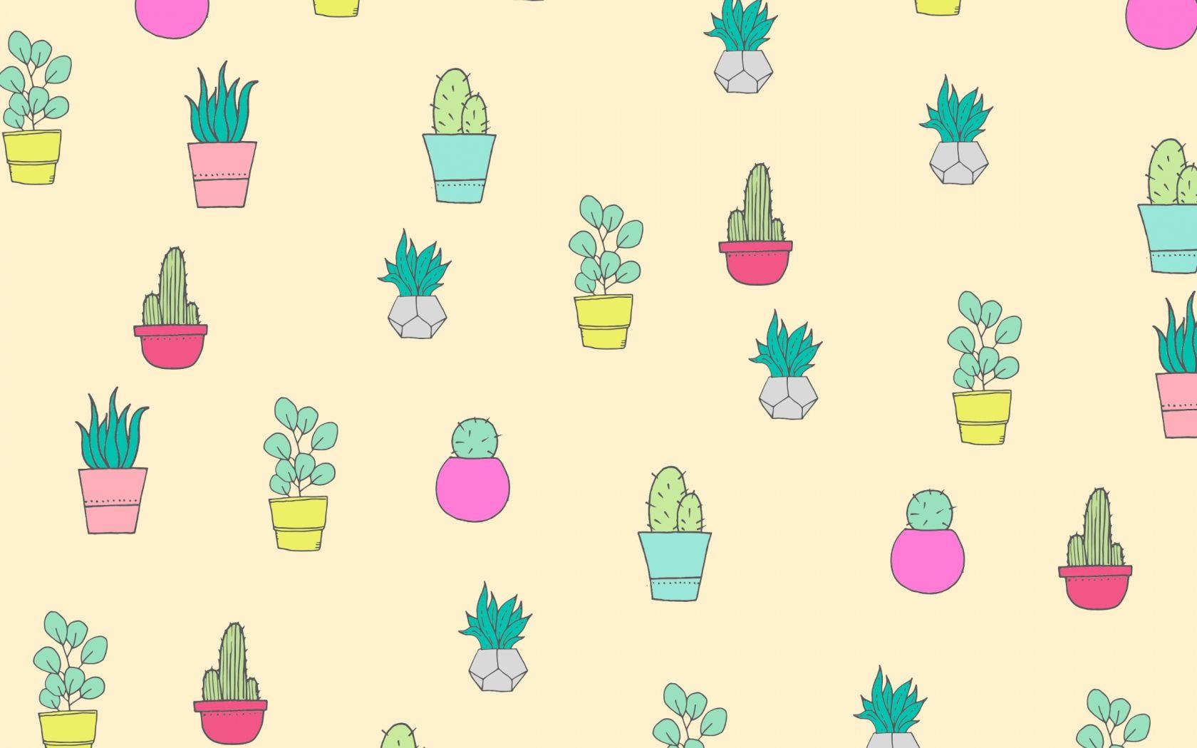 1680x1050 Free download FREE CACTUS AND SUCCULENT WALLPAPERS FOR YOUR DESKTOP TABLET AND [2400x1600] for your Desktop, Mobile & Tablet. Explore Cactus Wallpaper. Cactus Wallpaper, Cactus Wallpaper, Cactus Wallpaper Border