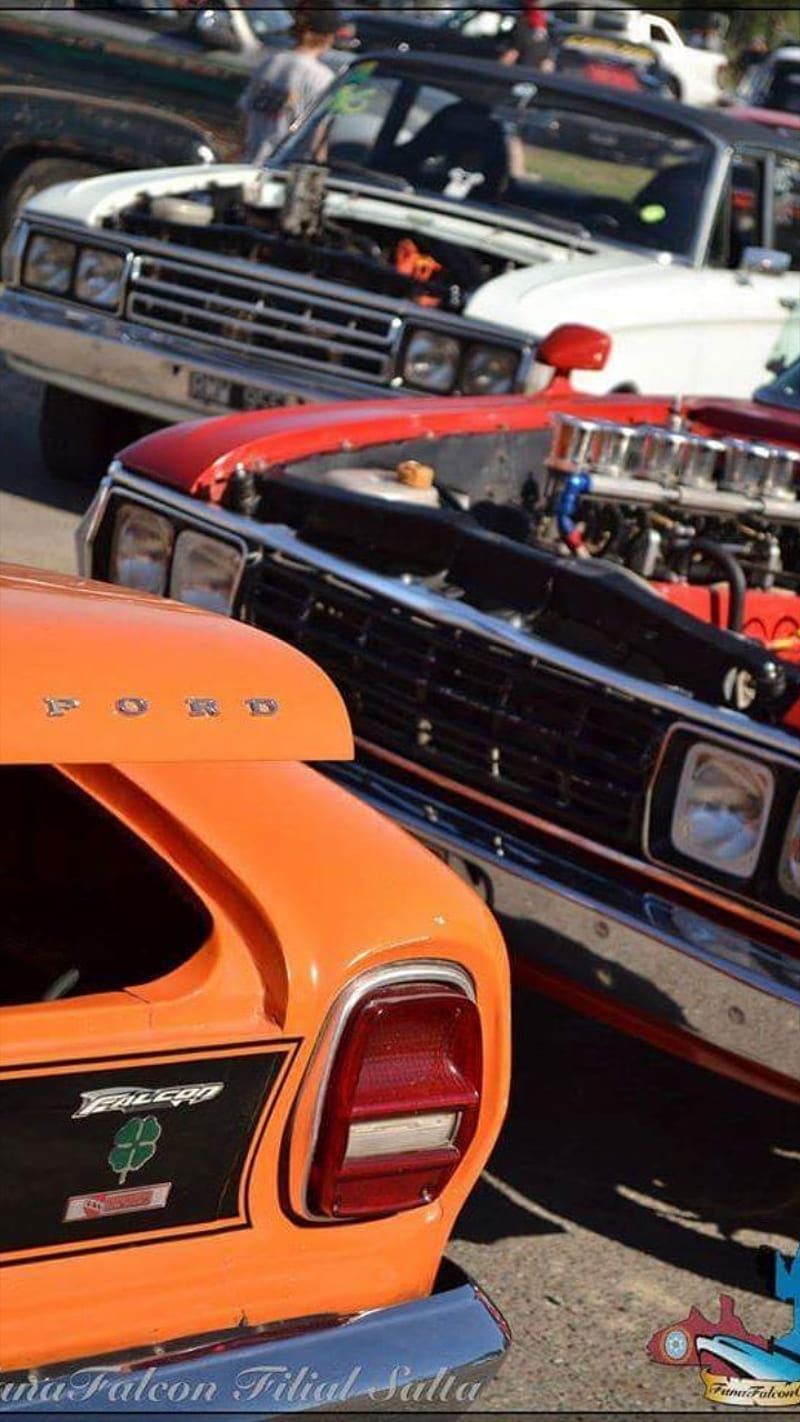 800x1422 HD ford falcon carros wallpaper