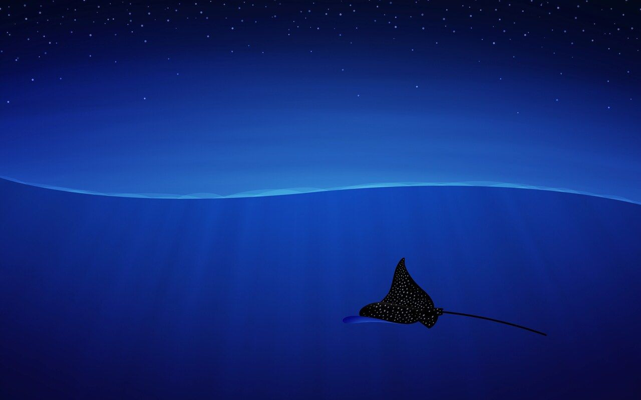 1280x800 Spotted eagle ray, Aetobatus narinari · Vlad.studio