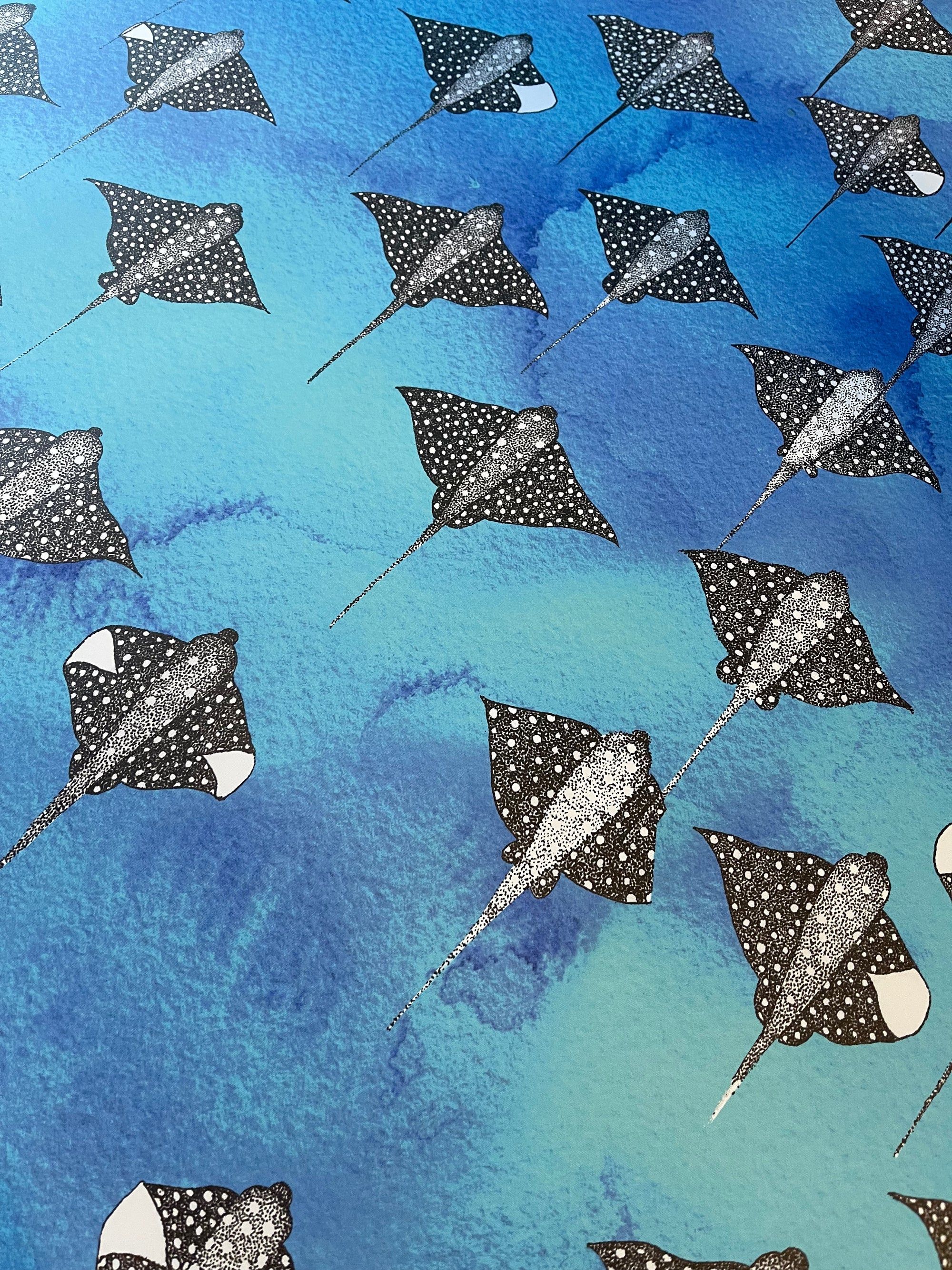 2000x2667 Spotted Eagle Ray Stingray Removable Wallpaper