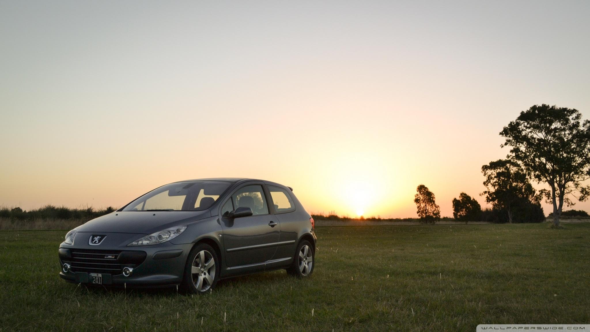 2048x1152 Peugeot 307 Wallpaper