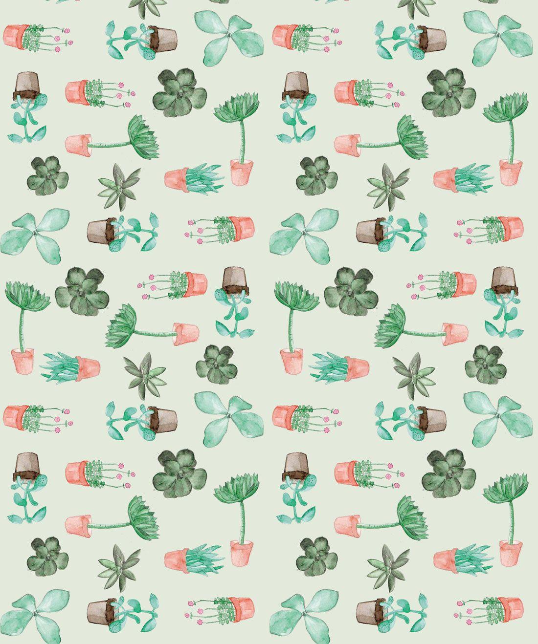 1100x1318 Succulents • Cactus Botanical Wallpaper