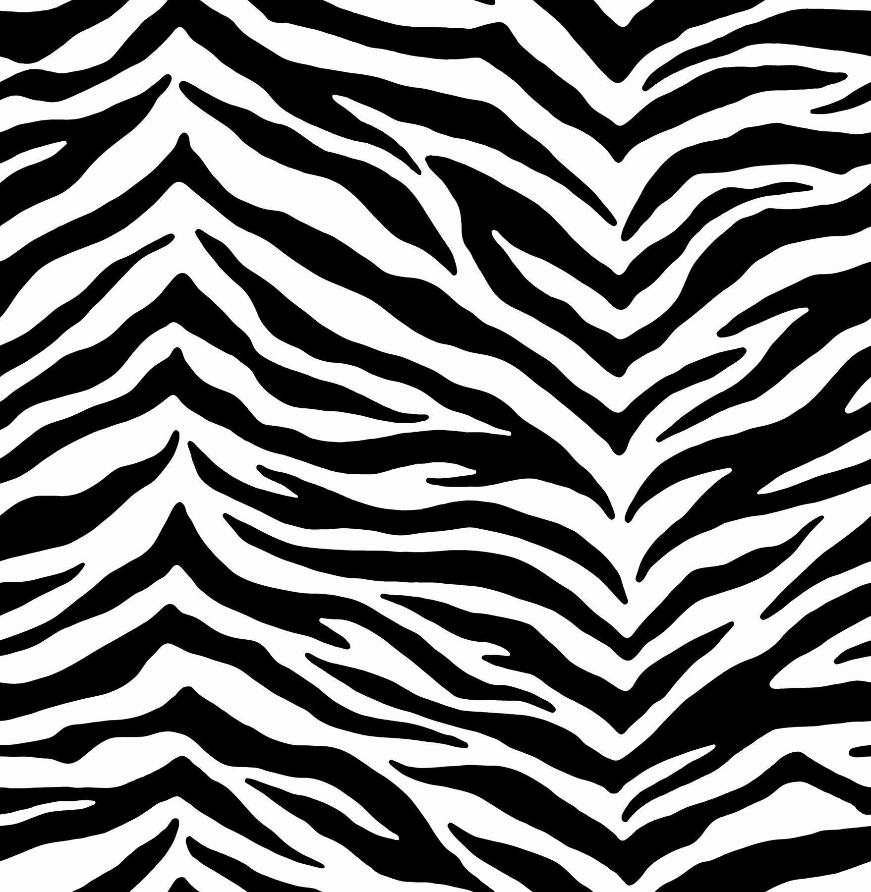 Cute Animal Print Wallpapers Top Free Cute Animal Print Backgrounds Cute Animal Print Wallpapers Top Free Cute Animal Print Backgrounds
