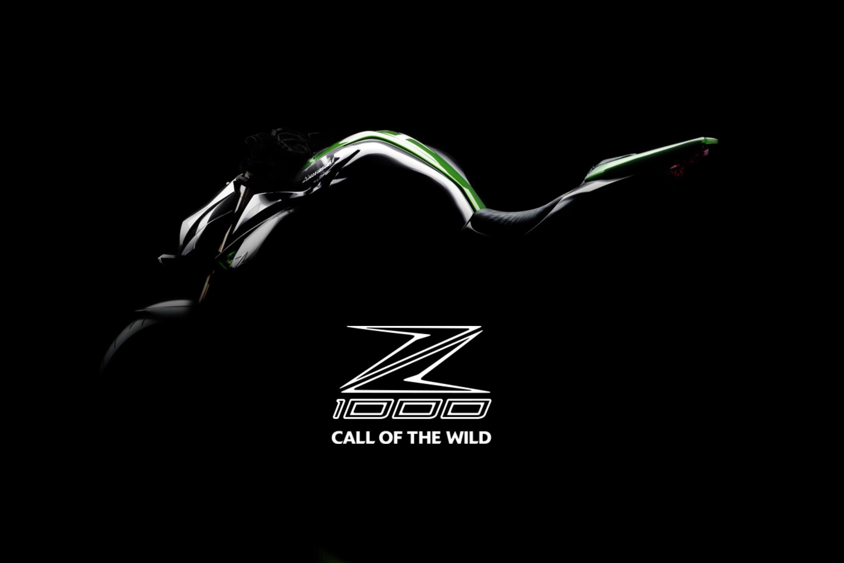 2705x1805 Kawasaki Ninja Logo Wallpaper