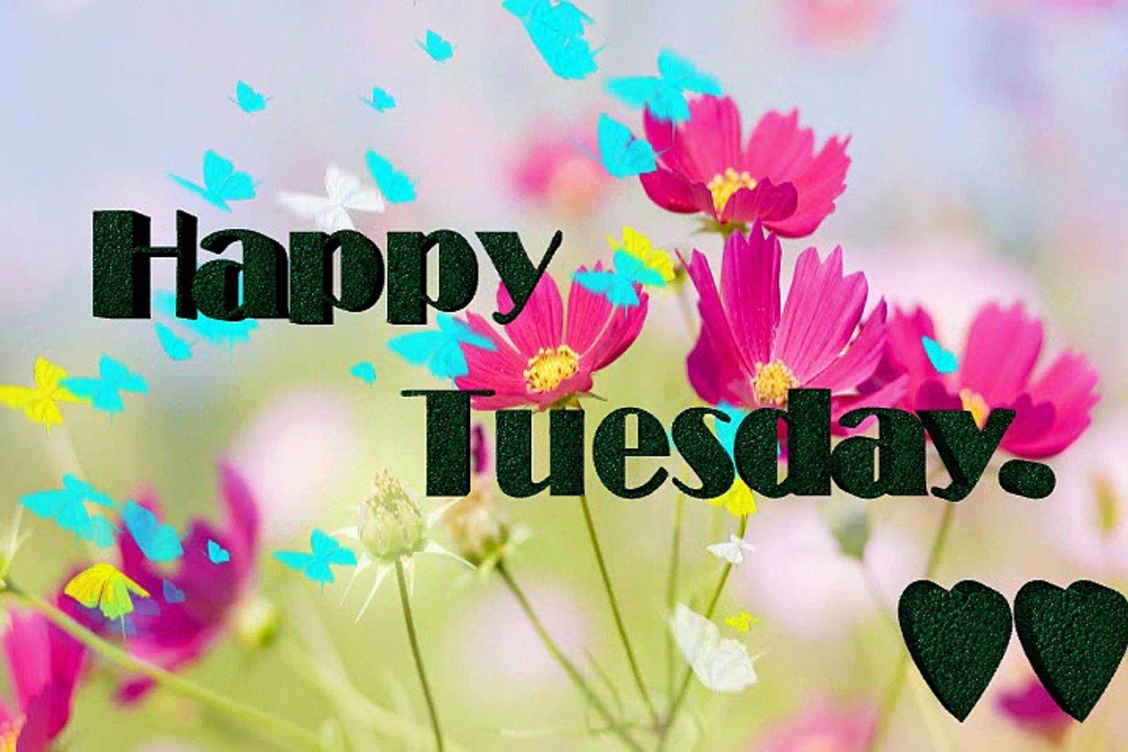 Tuesday Wallpapers - Top Free Tuesday Backgrounds - WallpaperAccess