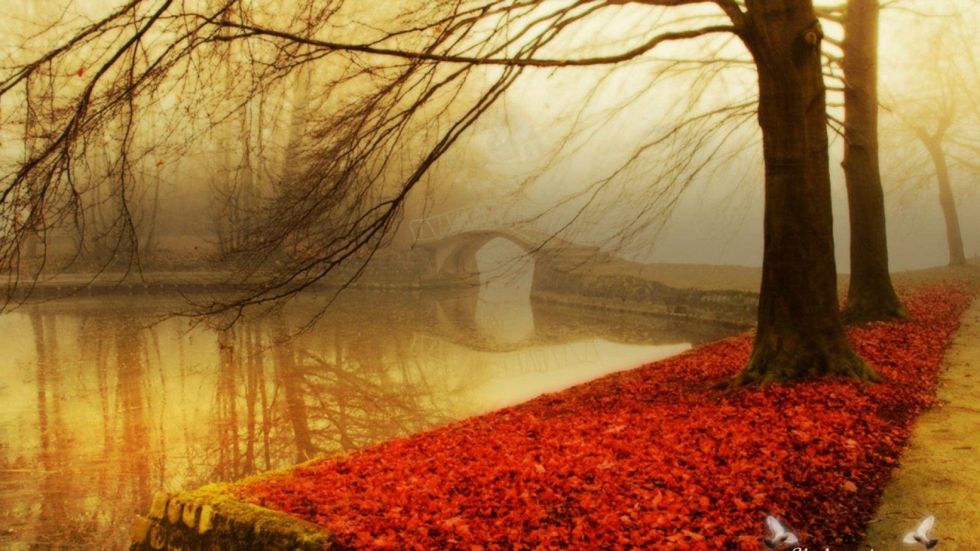 1920x1080 fall wallpaper